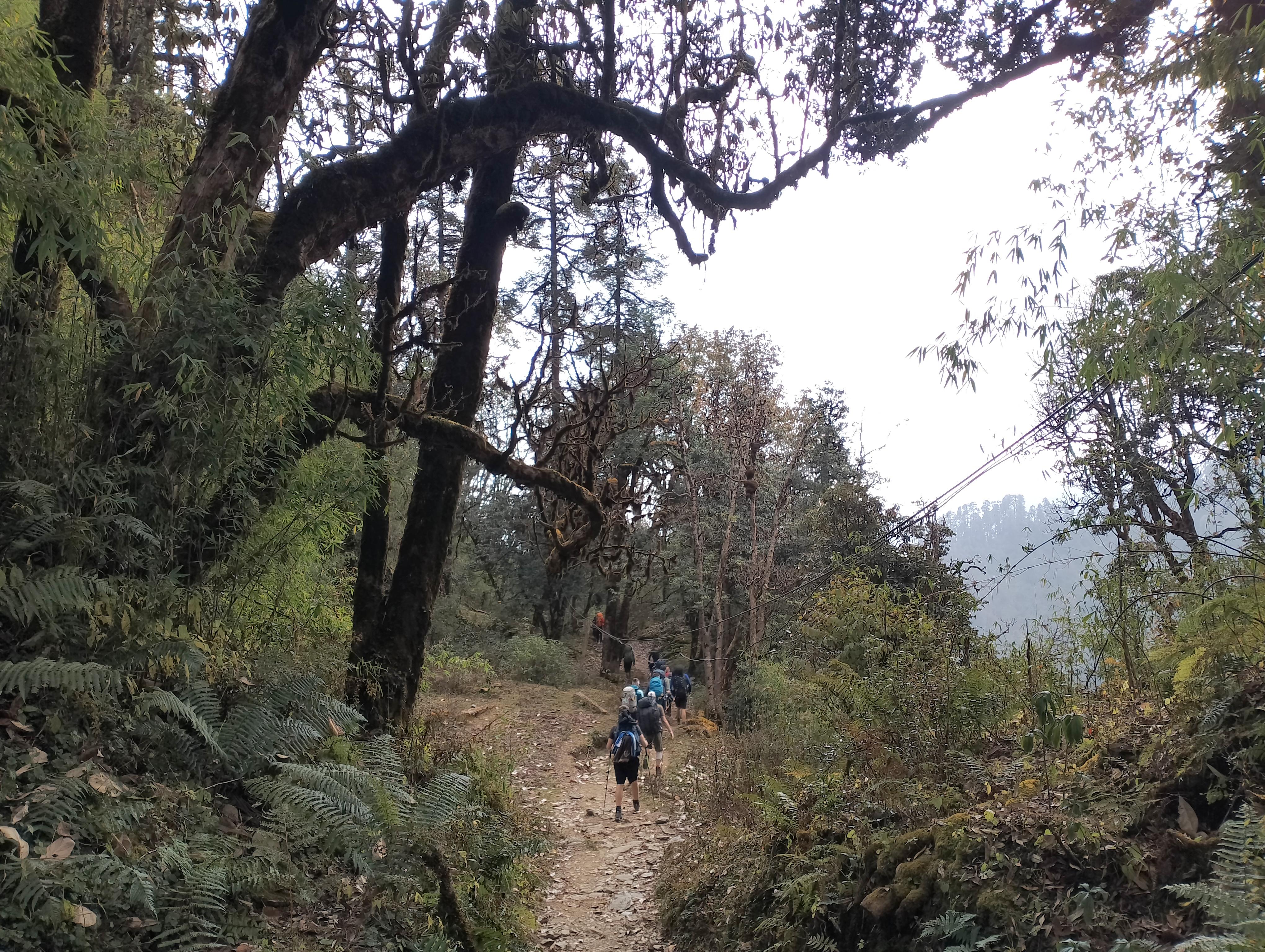 Pokhara: Mulde Hidden Lake, Annapurna Base Camp Adventure 3