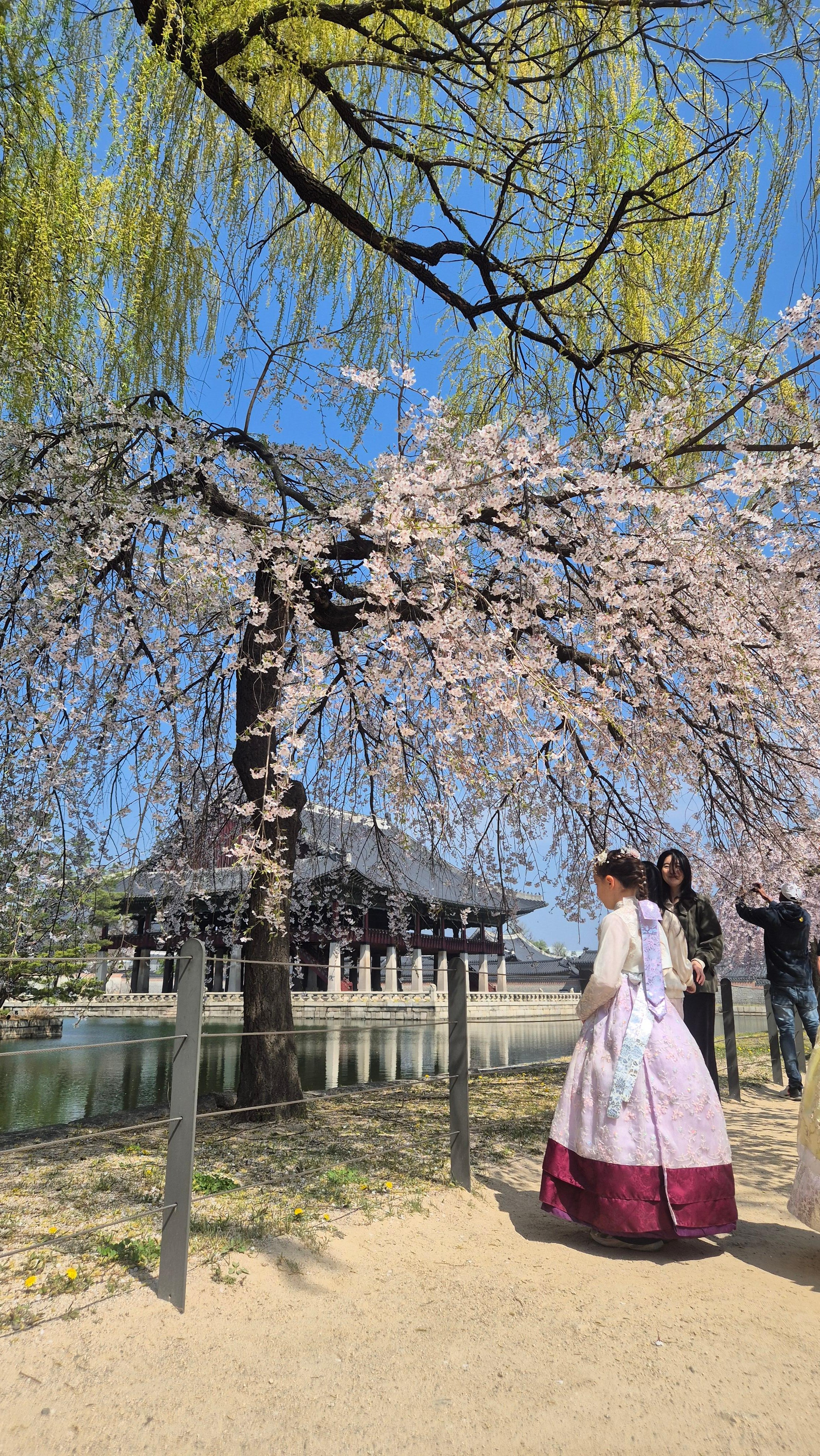 Seoul Layover by AREX: Private Tour from Seoul Station 2