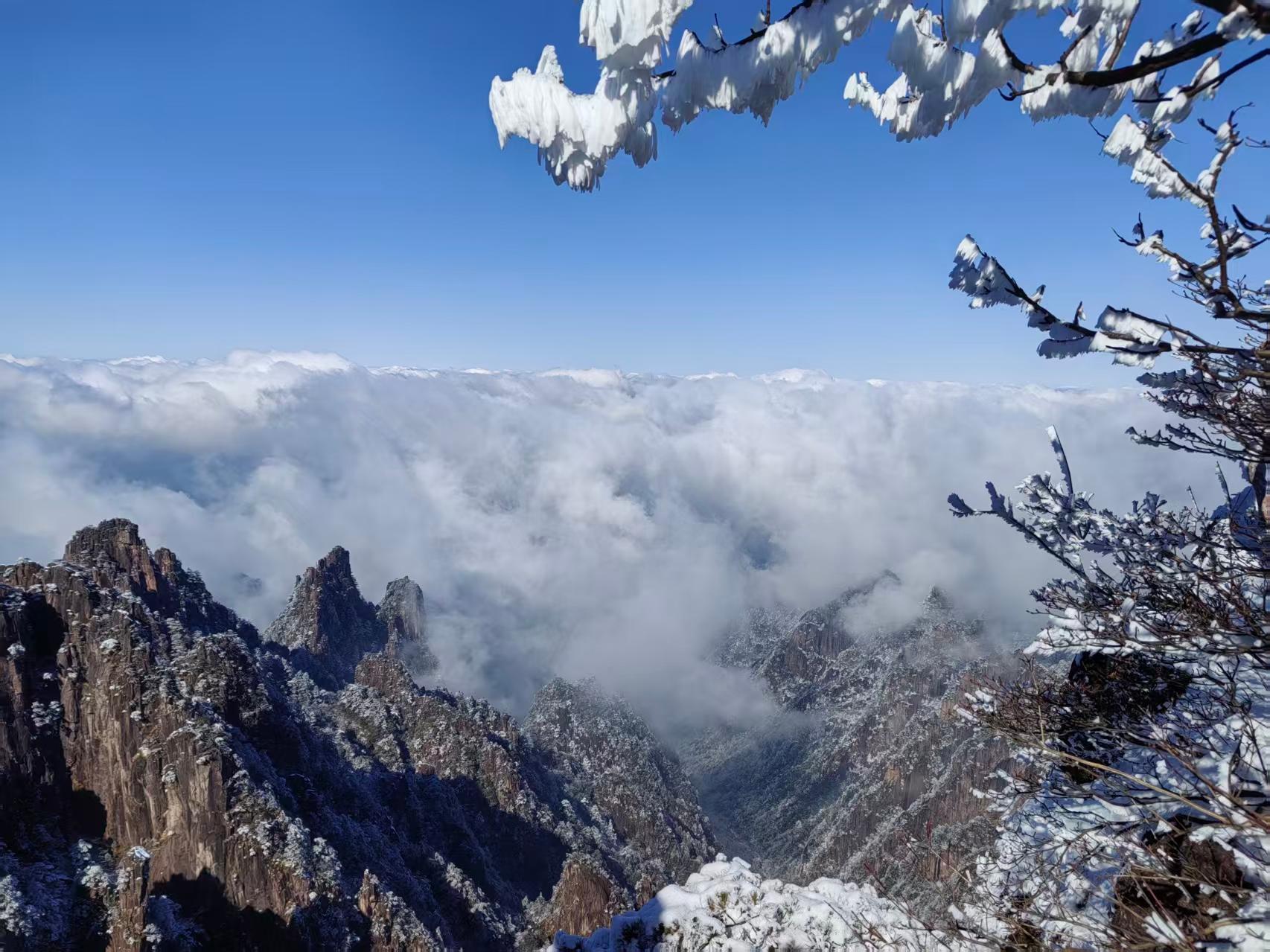 From Shanghai: Huangshan Private Day Trip by High-Speed Rail