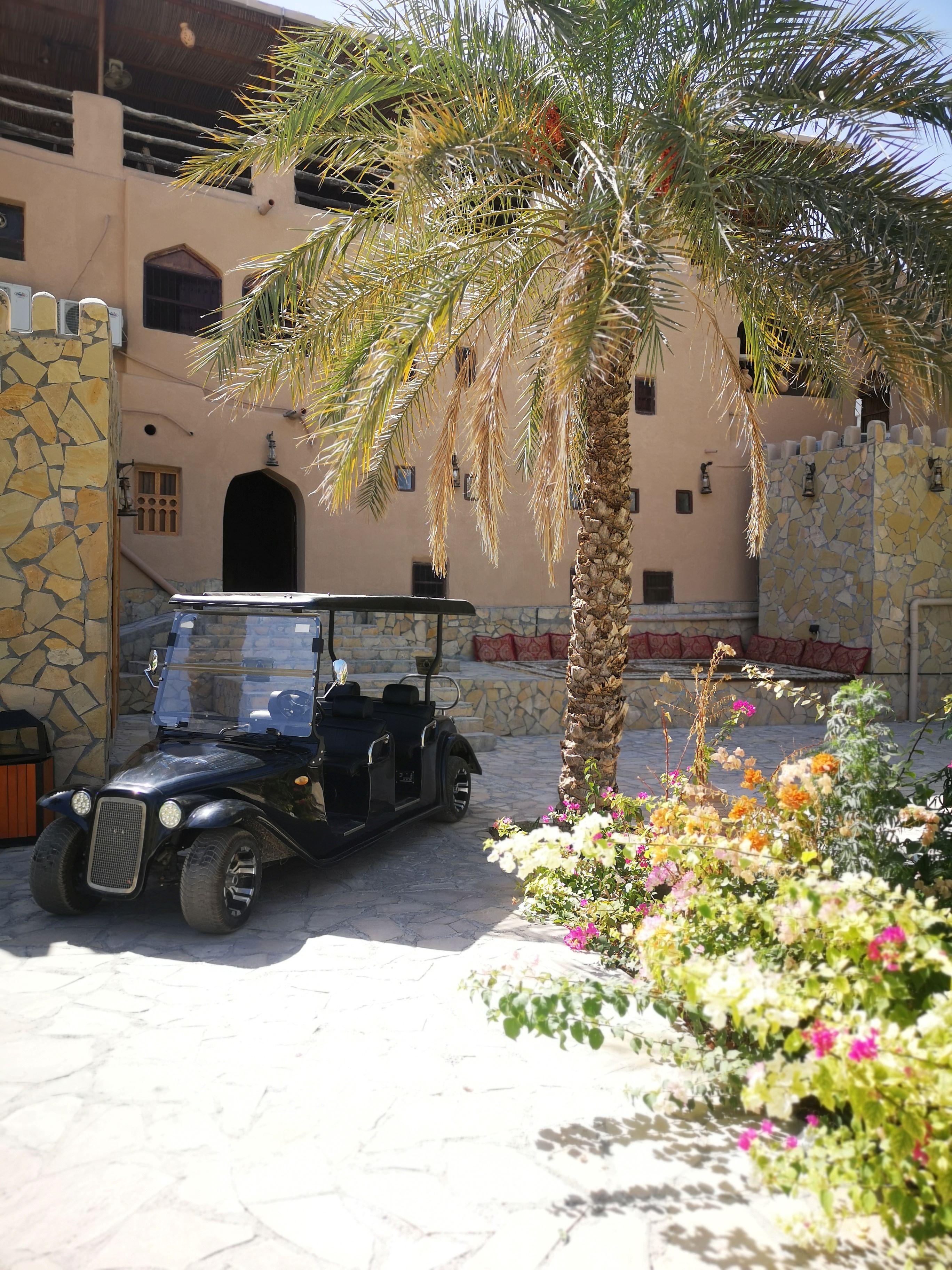 From Jebel Akhdar: Al Aqur Village Cultural Cart Tour 3