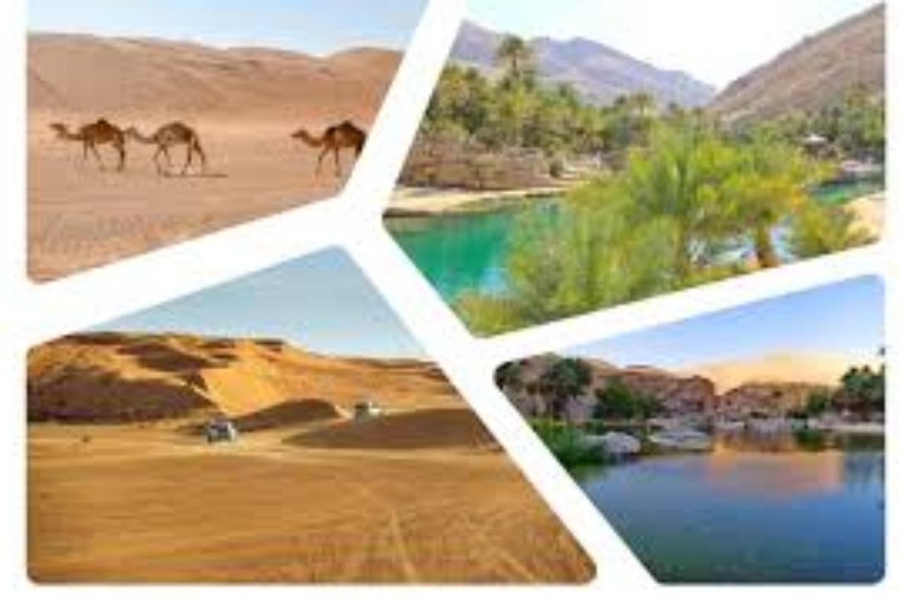 Muscat: Wahiba Sands Desert Tour and Wadi Bani Khalid Group 2