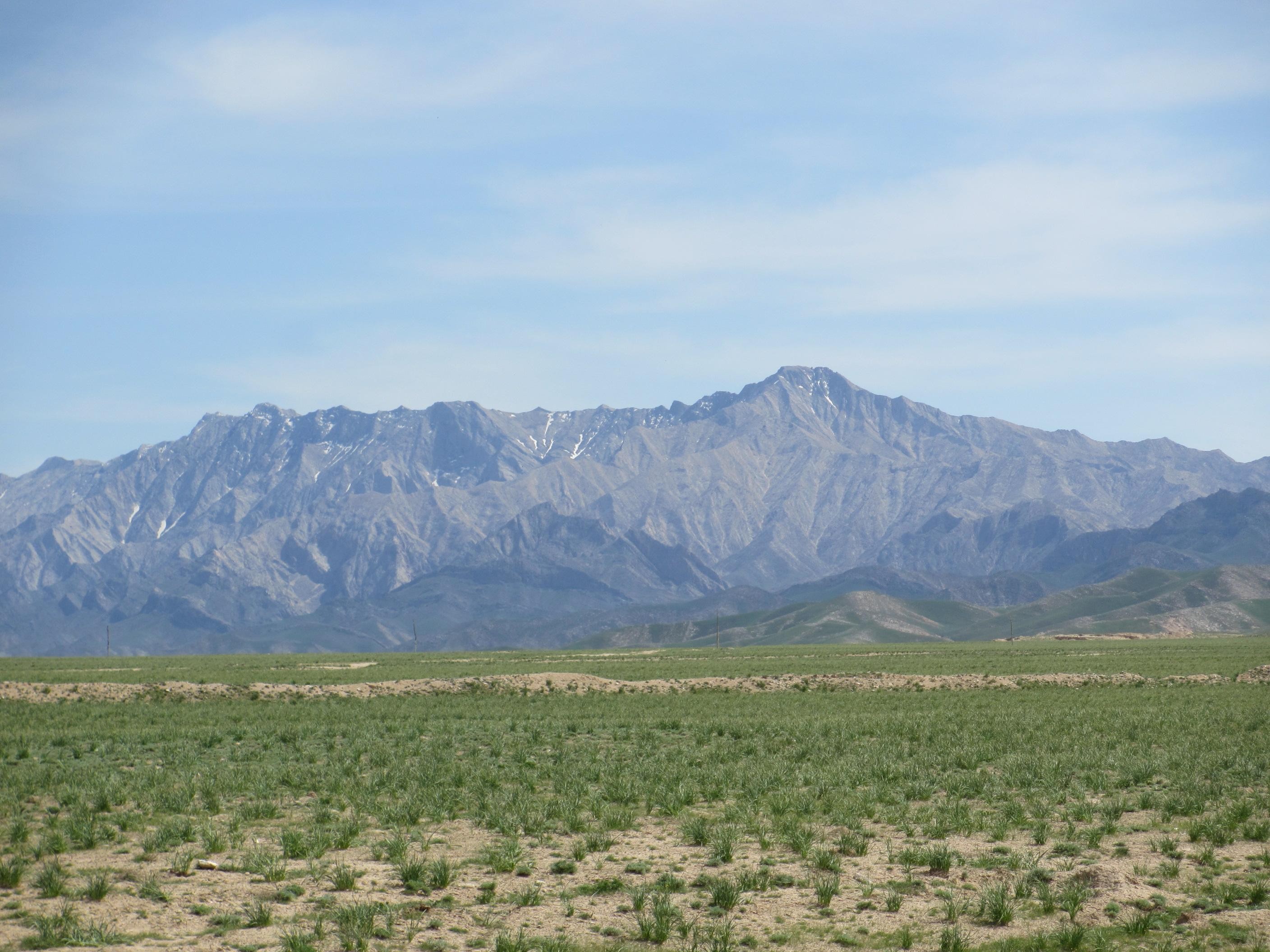 Bukhara/Samarkand: Nurata, Aydarkul Lake & Desert Day Trip