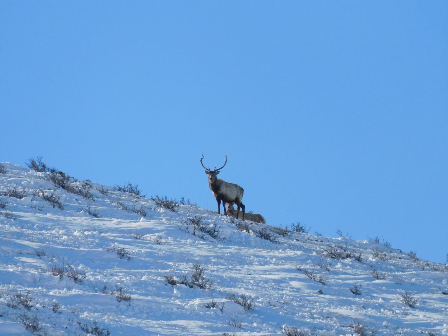 From Ulaanbaatar: Hustai National Park Day Trip withTransfer 2