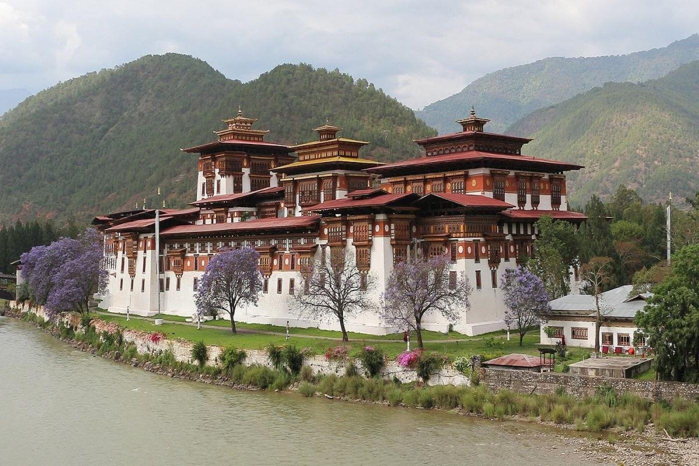 5 Day Bhutan Bird & Nature Photography Escape with Stay/Meal 3