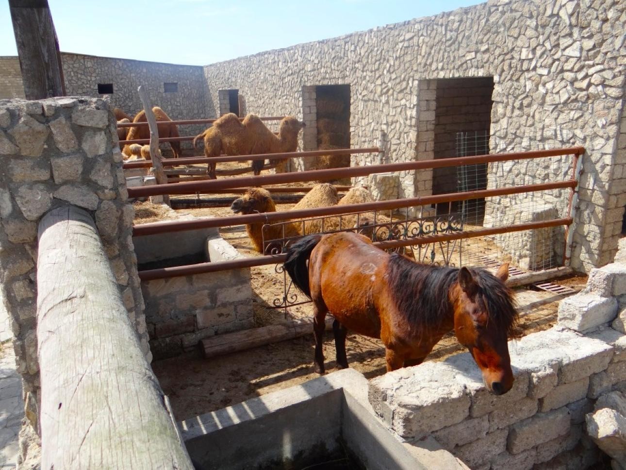 Private Half-Day Absheron Tour - Gala, Ateshgah and Yanardag 3