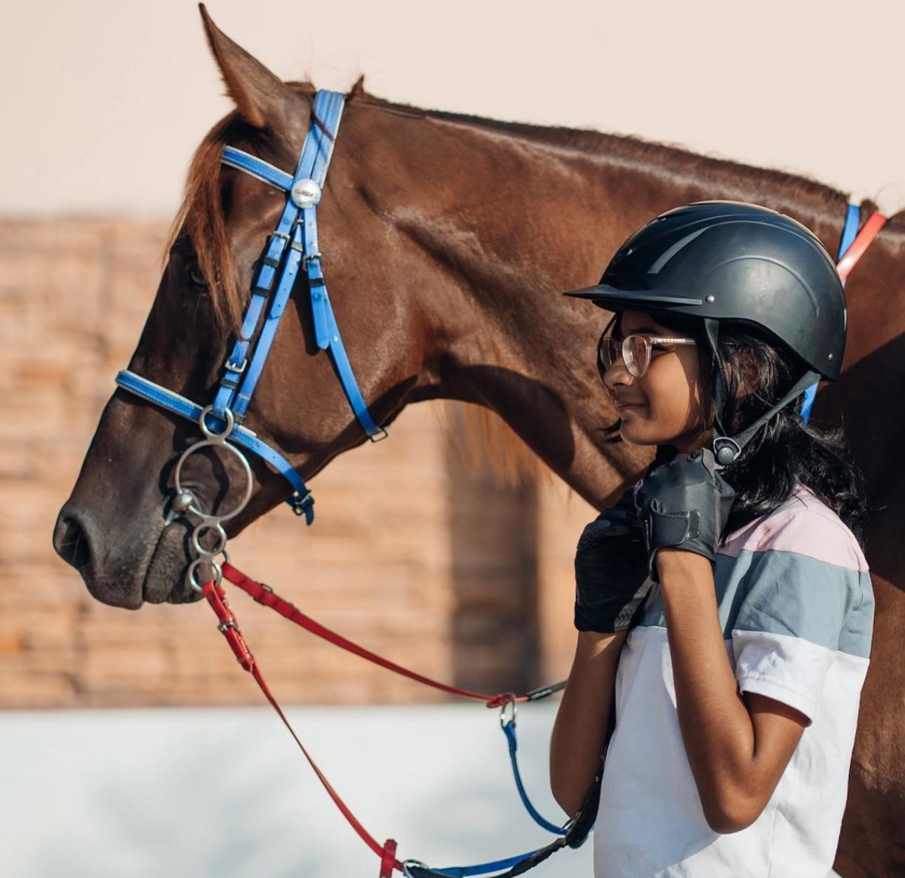 Doha : Arabian Horse Ride Experience With Pickup & Drop Off 3
