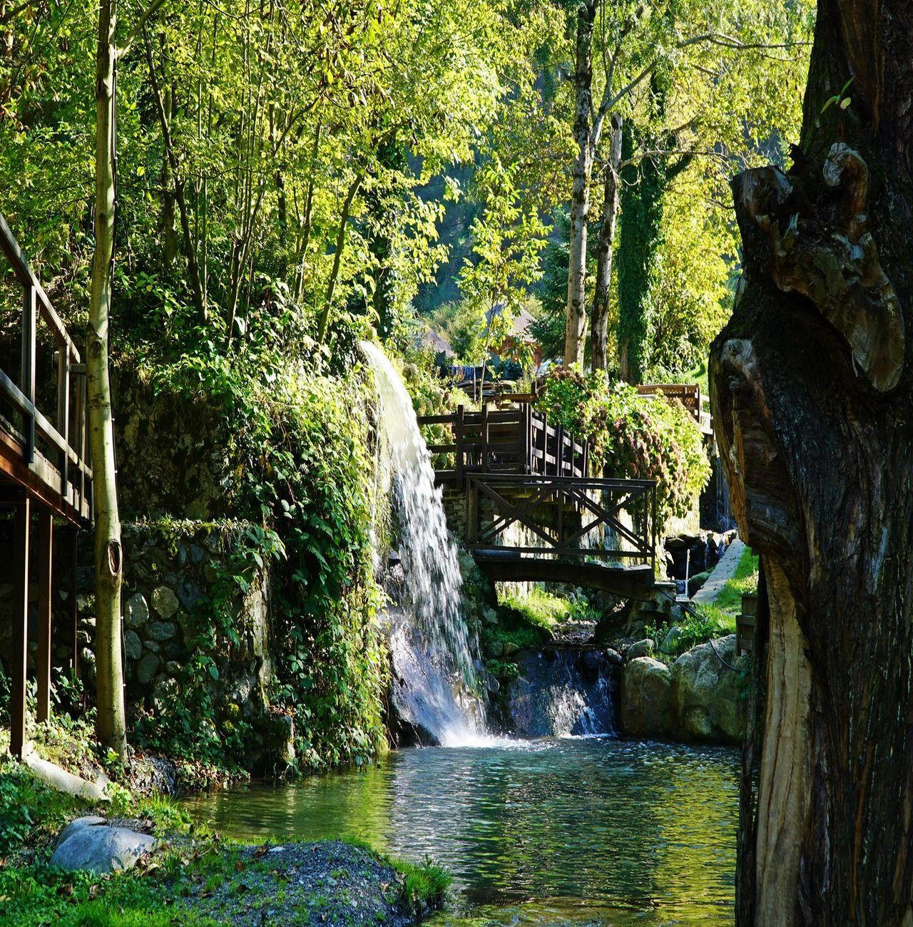 From Istanbul: Full Day Private Sapanca & Masukiye Tour 3