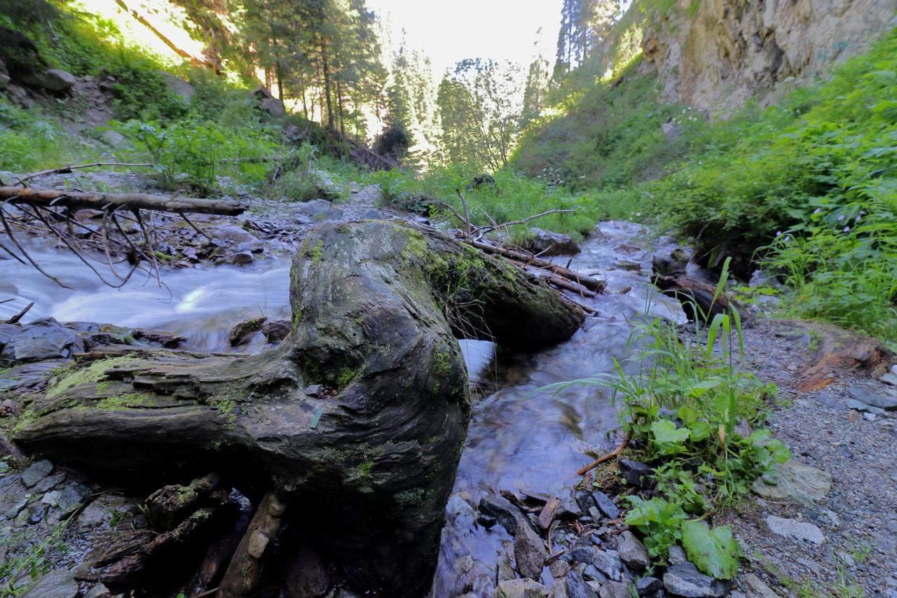Almaty Mountain Escape: Alma-Arasan, Ayusai & Hot Springs 2