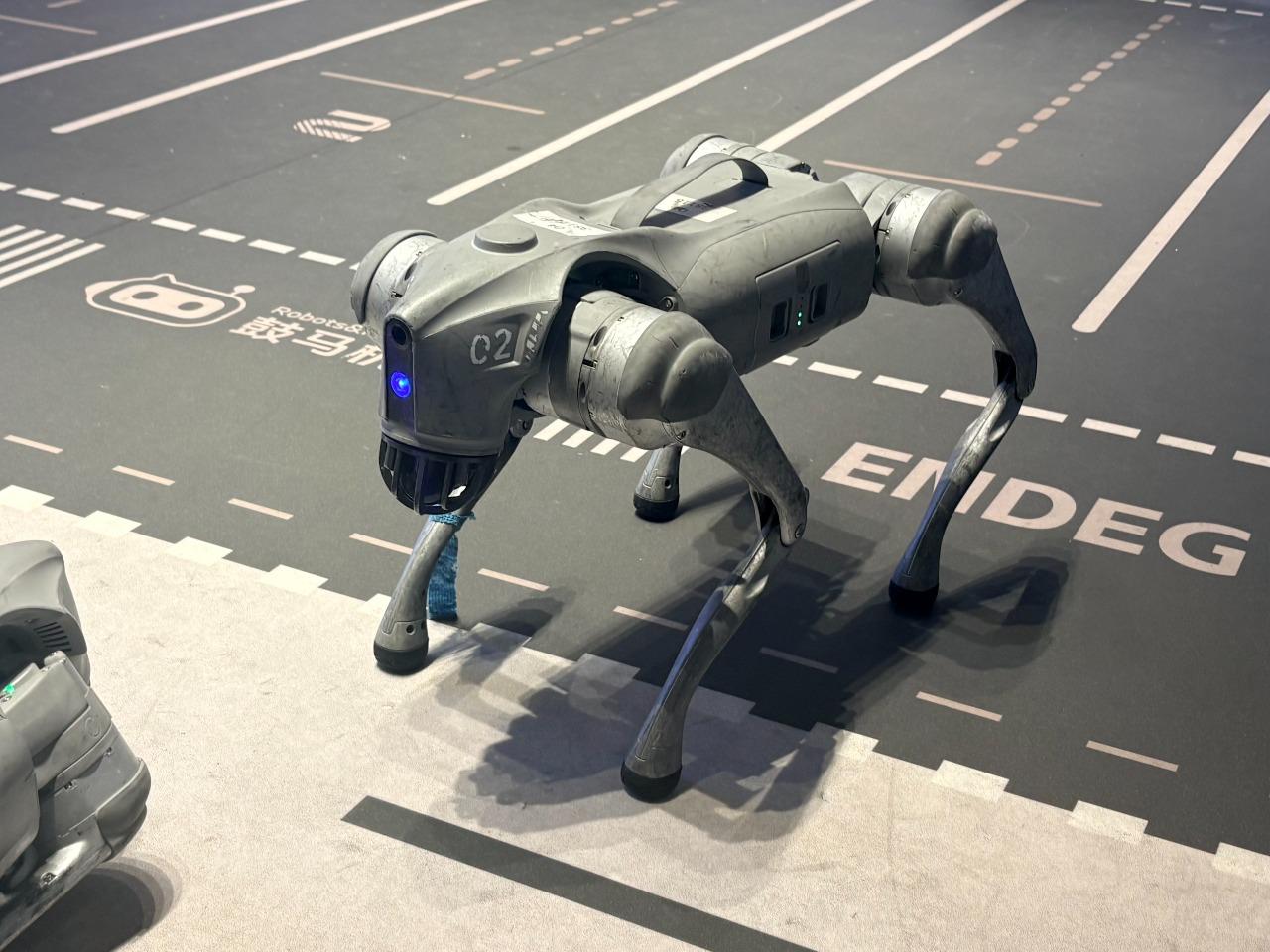 Shanghai: High Tech of Robots, Driveless Car Half-day Tour 3
