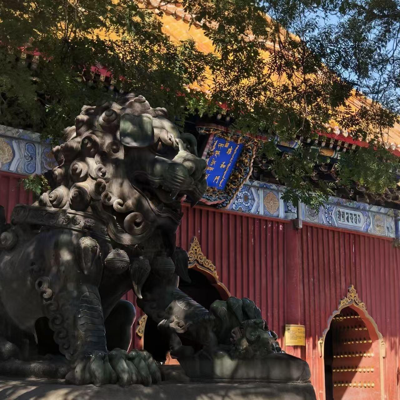 Beijing: Yonghe Temple Guided Tour with Entry Ticket
