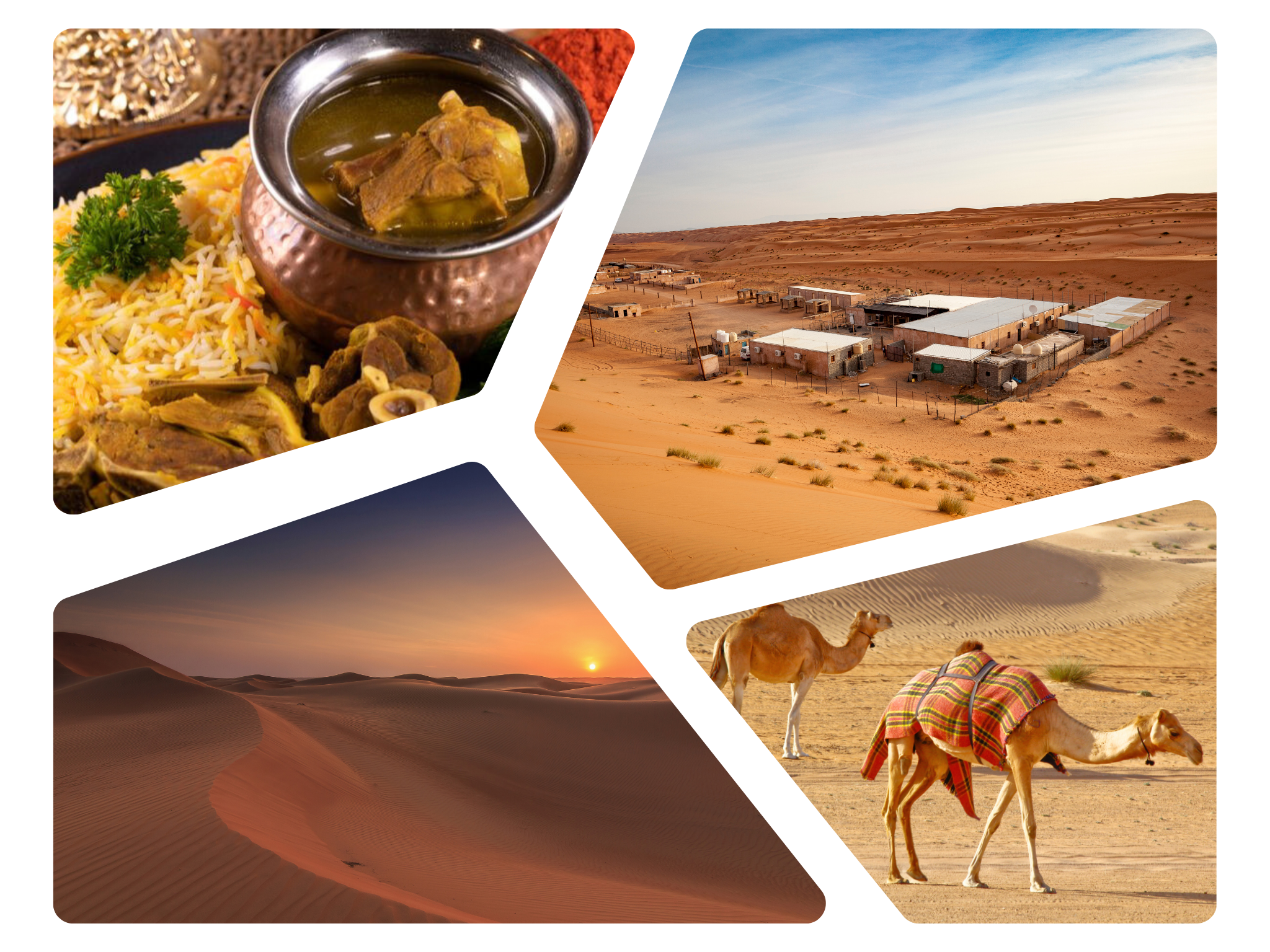 Muscat: Wahiba Sands Desert Sunset Tour with Dinner