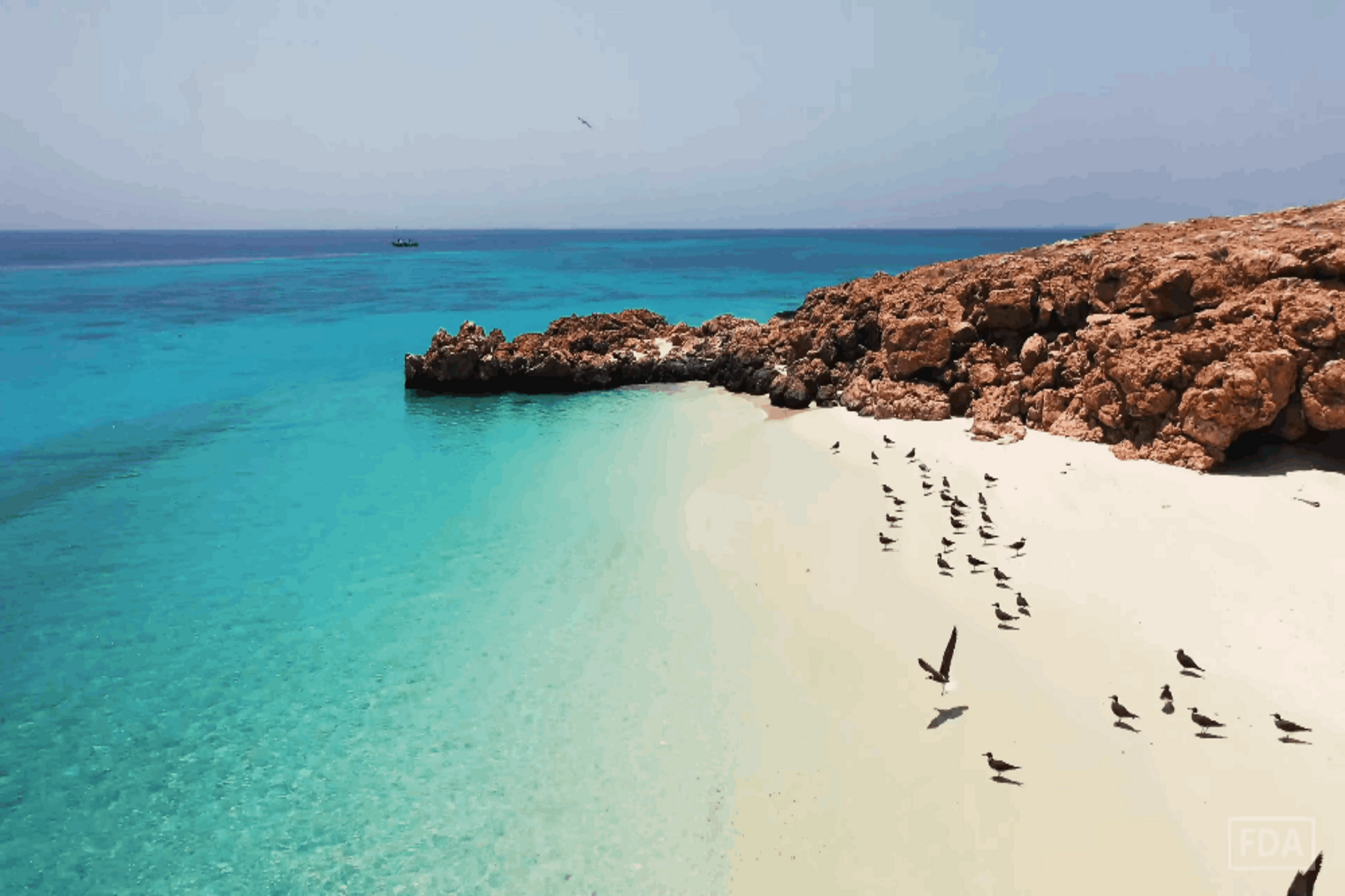 From Muscat: Daymaniyat Islands Reef Snorkeling Tour & Lunch 2