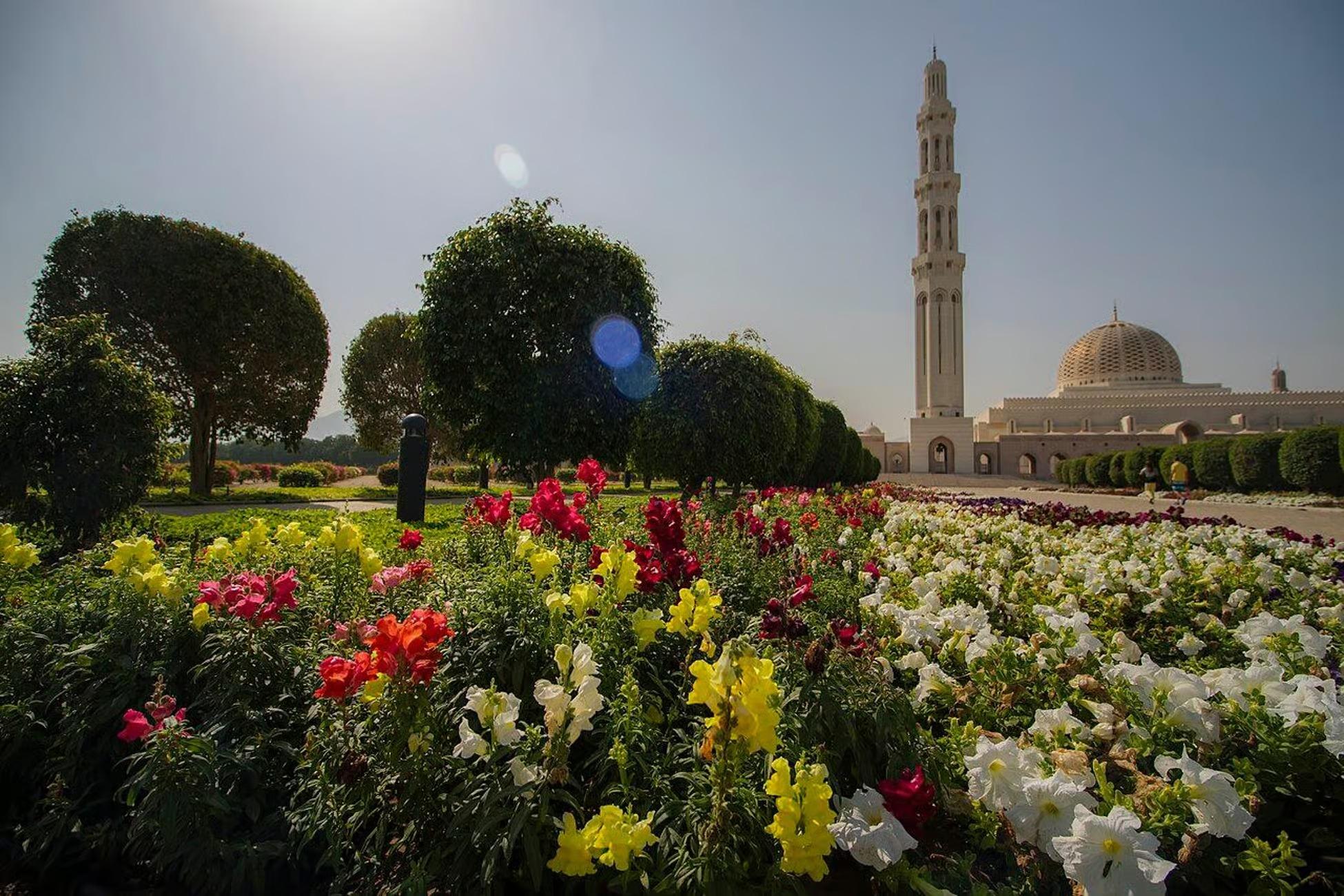 Muscat: Full-Day Guided Tour