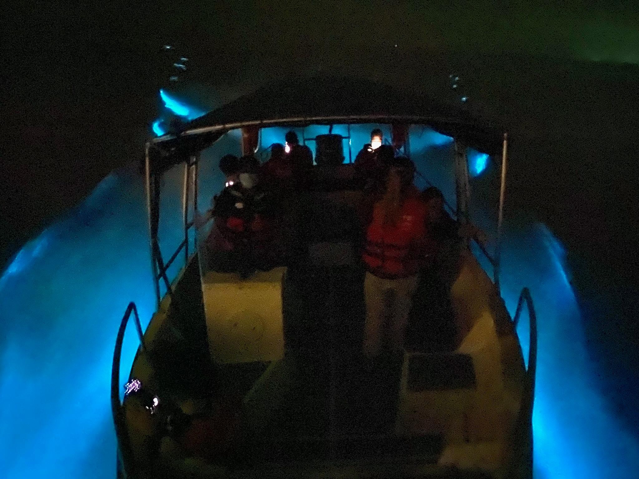Magical Blue Tears Night Boat Tour in Kuala Selangor 3