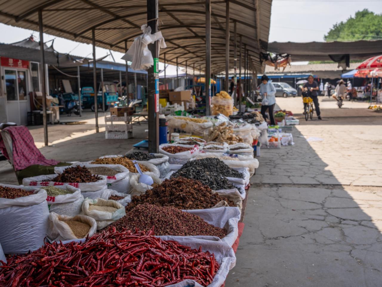 Beijing: Vegan Home Cooking & Local Market Tour with Sanxia 3