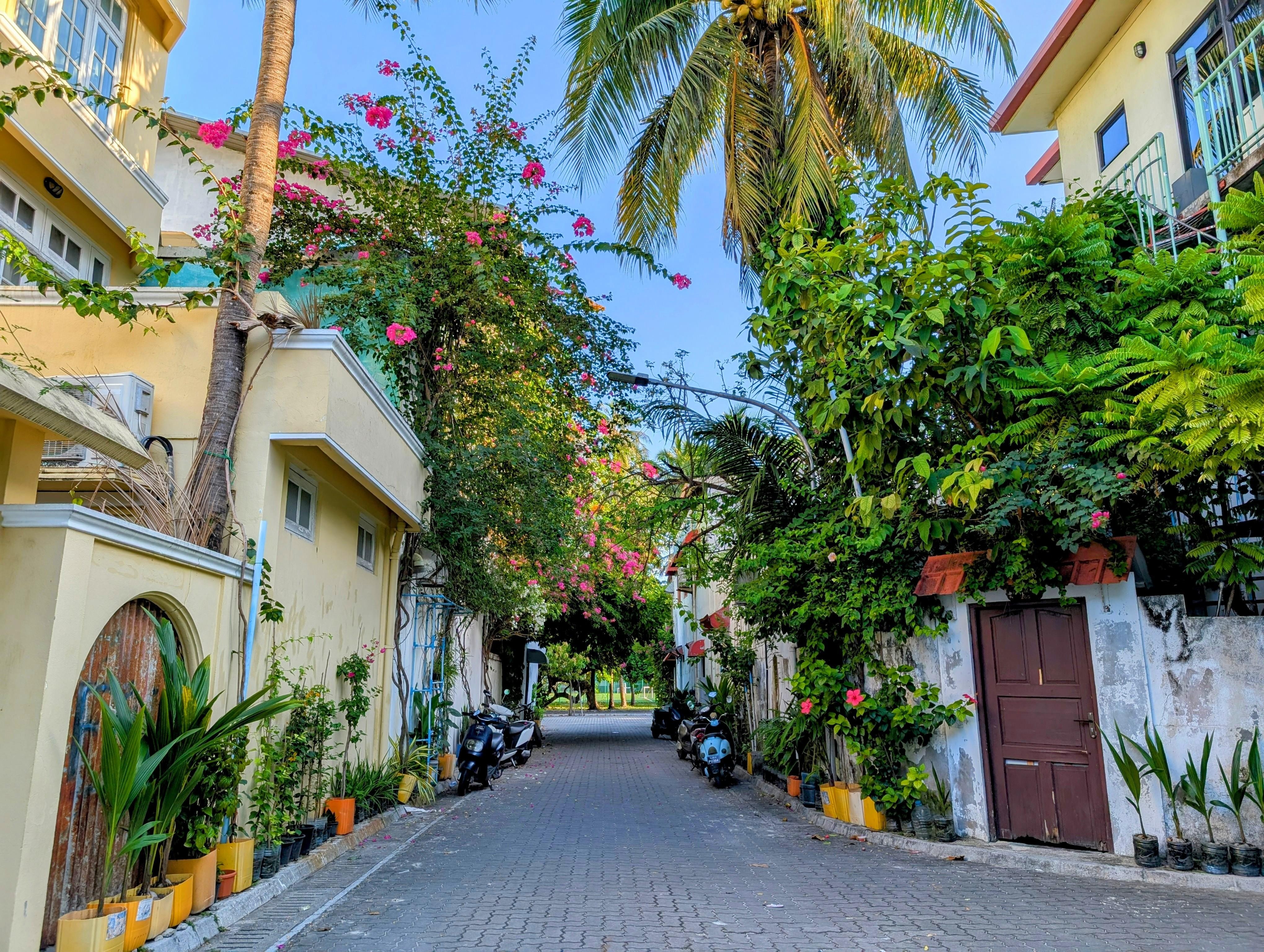 Malé: Villimalé Half-Day Trip with Hotel or Airport Pickup 3
