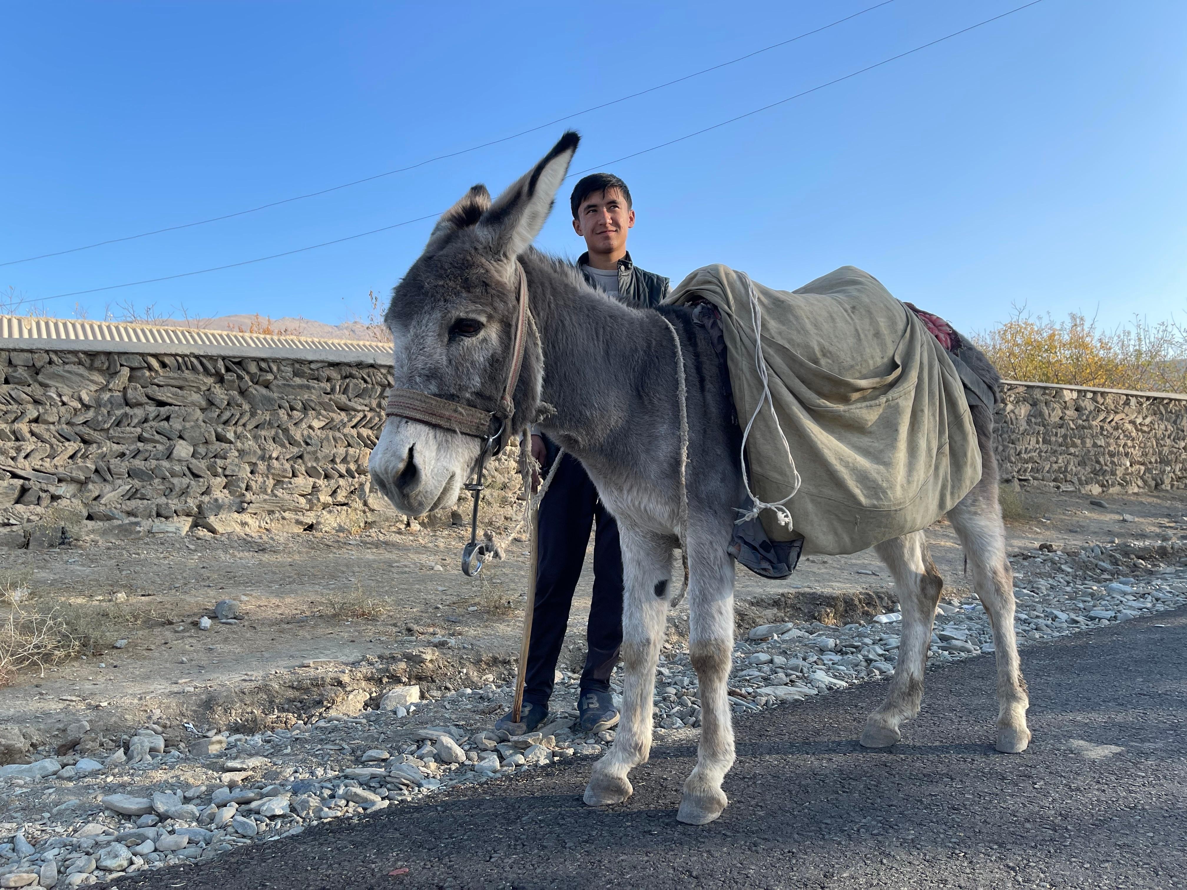 Visit to Ukhum (Nurata Mountains), petroglyphs, and donkey ride (3 days)