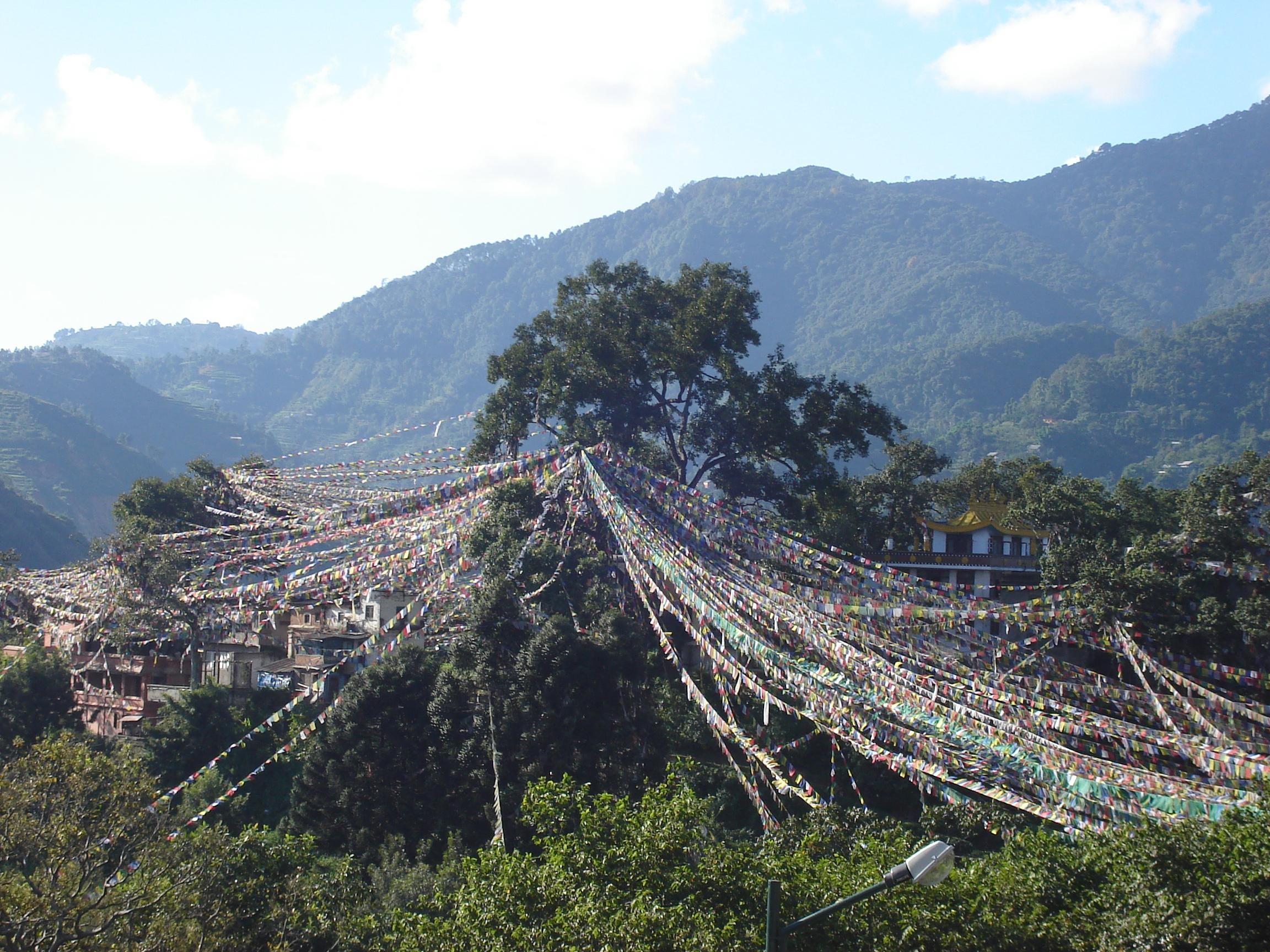Pokhara: Private Cave Exploration Tour with Hotel Pickup