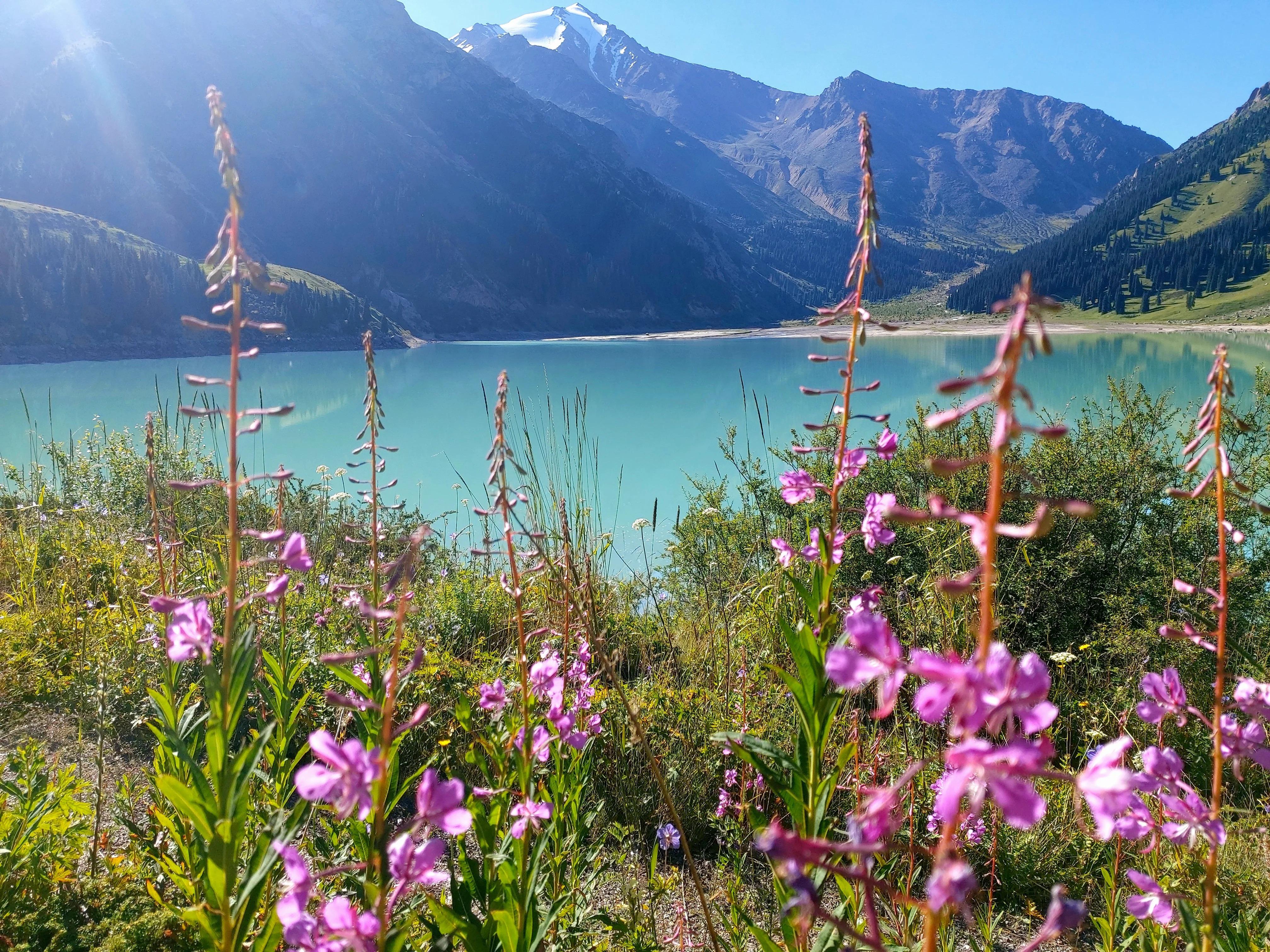 Almaty: Big Almaty Lake Tour With Mountain Views 3