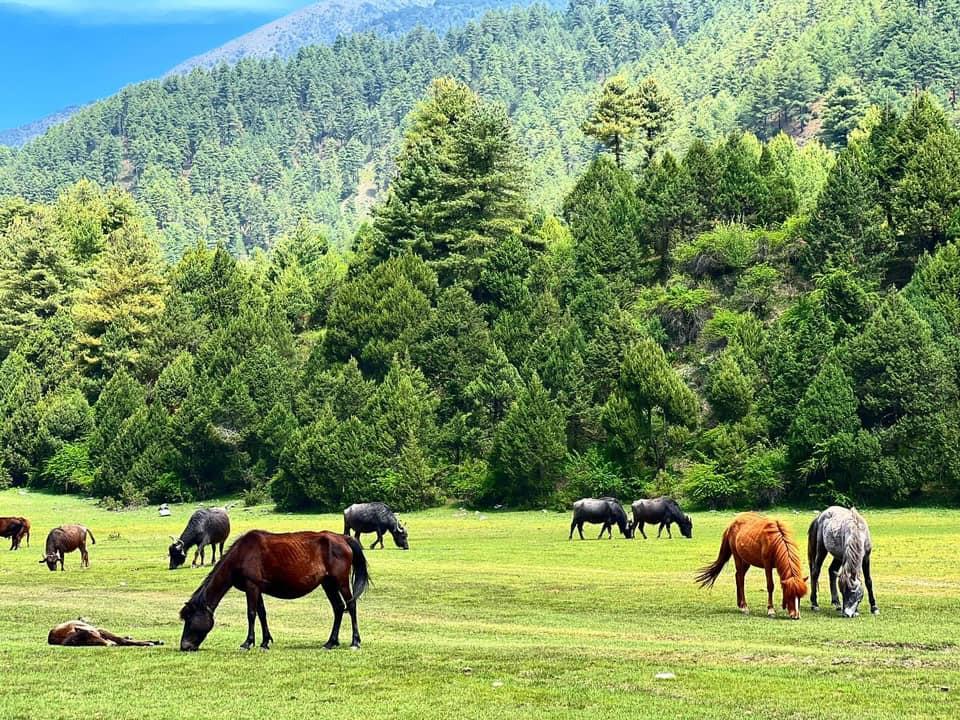 Dhorpatan–Bukipatan Hidden Valley Experience