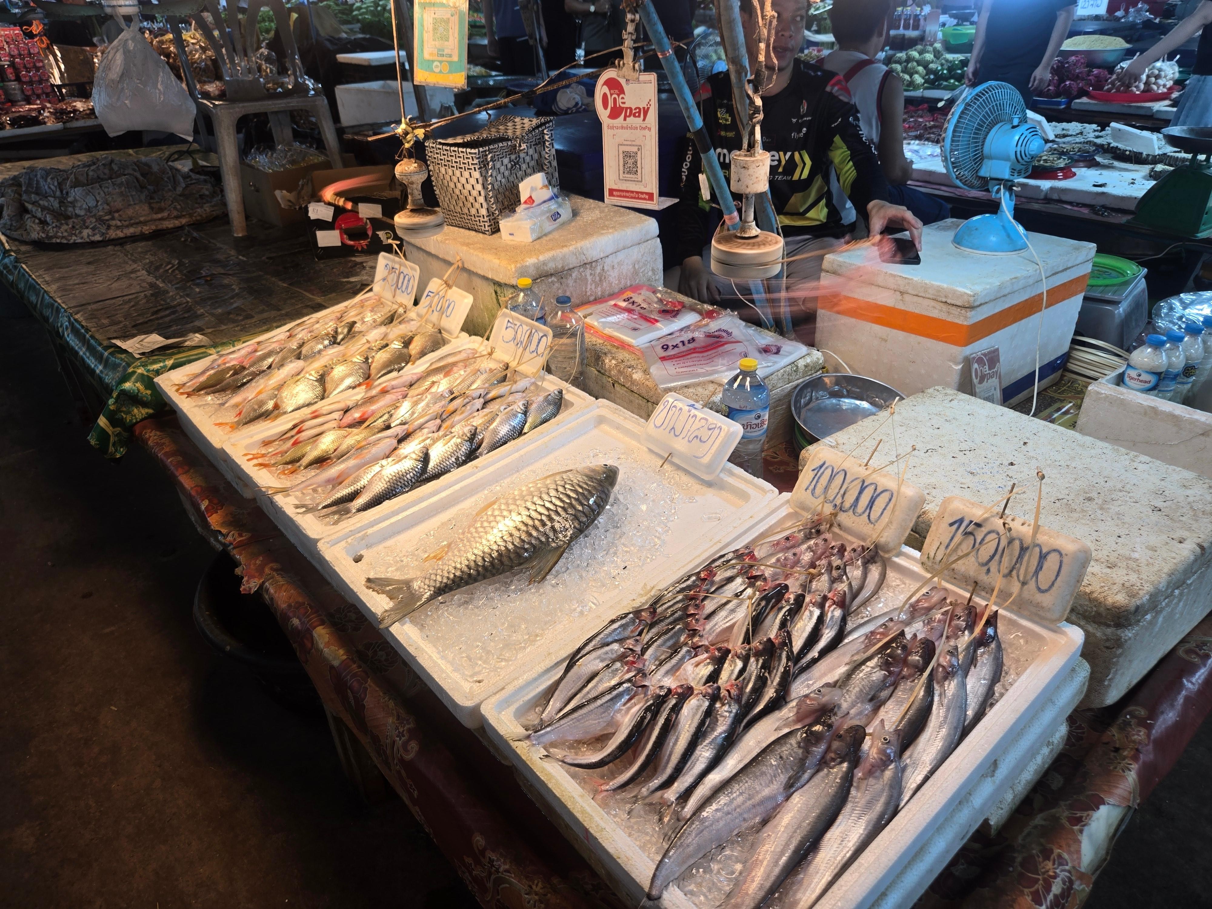 Vientiane: Lao Market Food Discovery Tour for 2 hours 3