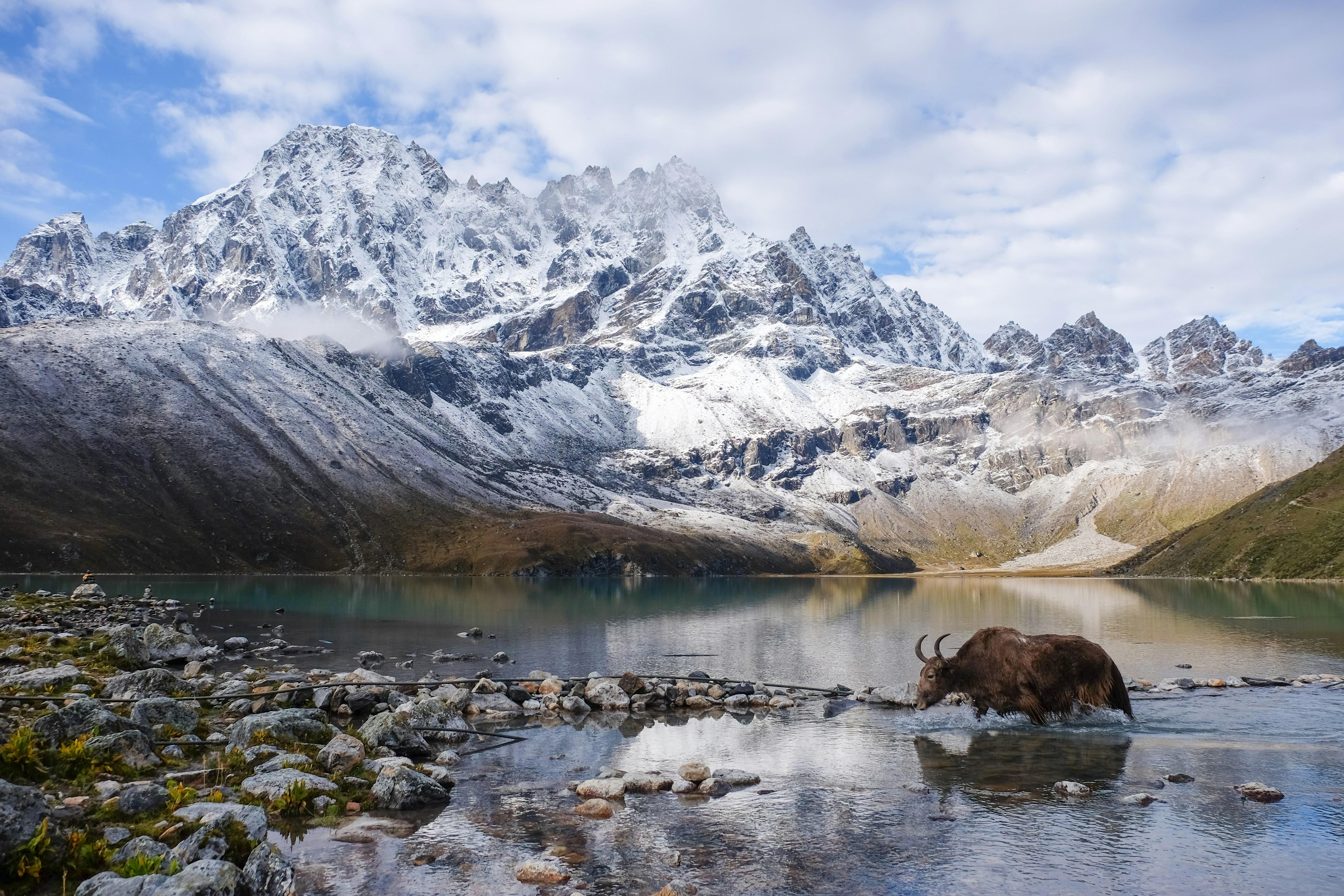 From Kathmandu: Gokyo Lakes & Renjo La Pass Trek with Guide 2