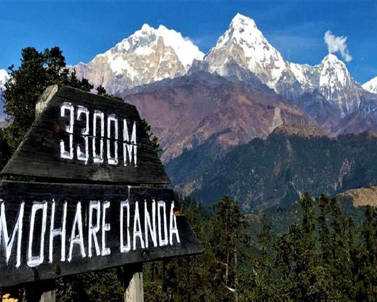 Hidden Himalayas: 8-Day Mohare Danda Trek via Nagi Village