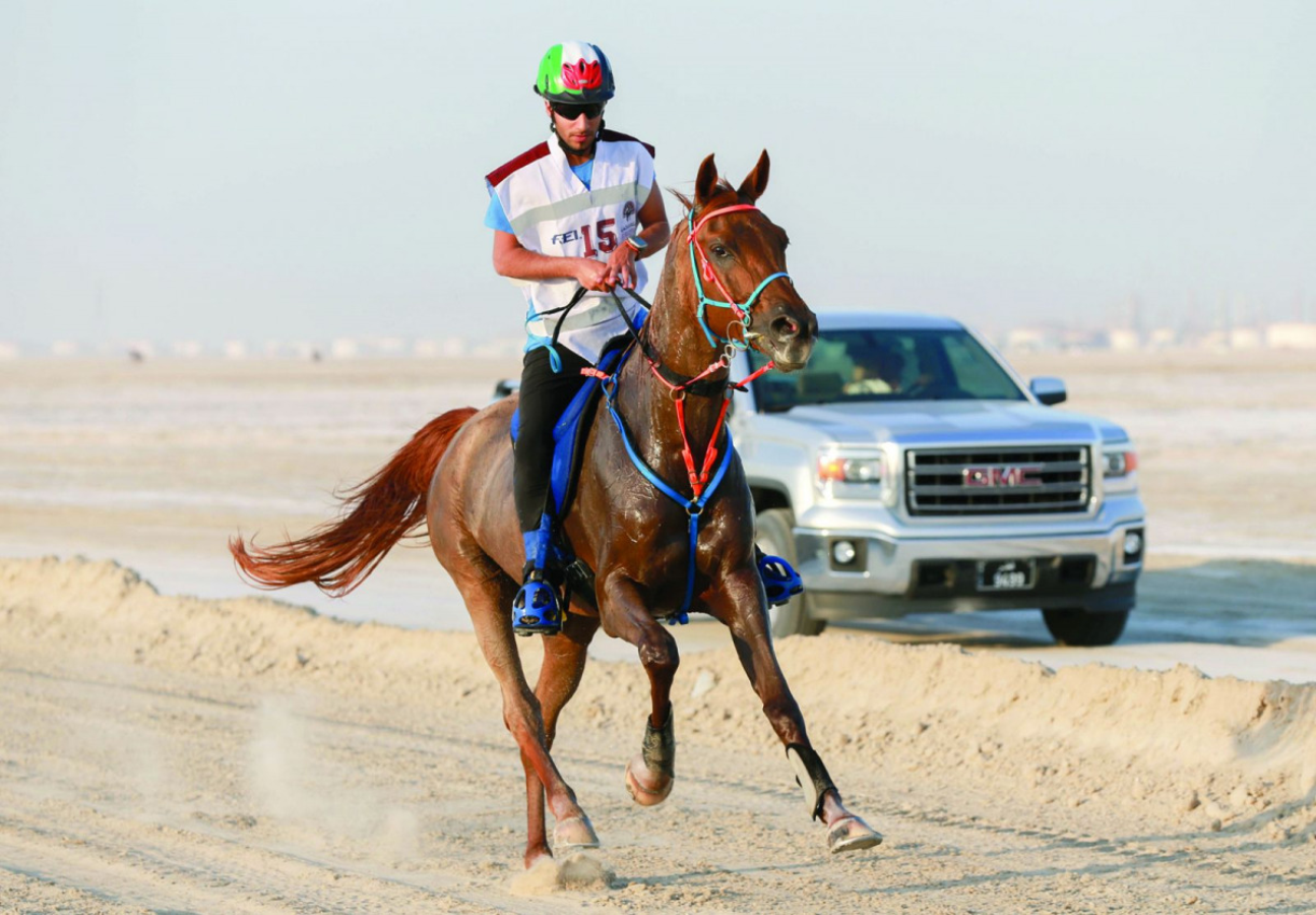 Doha: Souq Waqif Tour with Sealine Horse Riding Experience