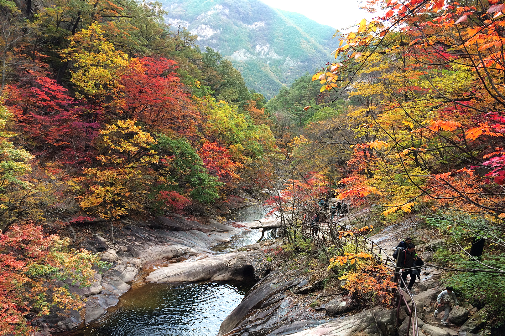 Seoul: Mt.Seorak(+CableCar Option)+Sokcho Fish Market&Beach 2