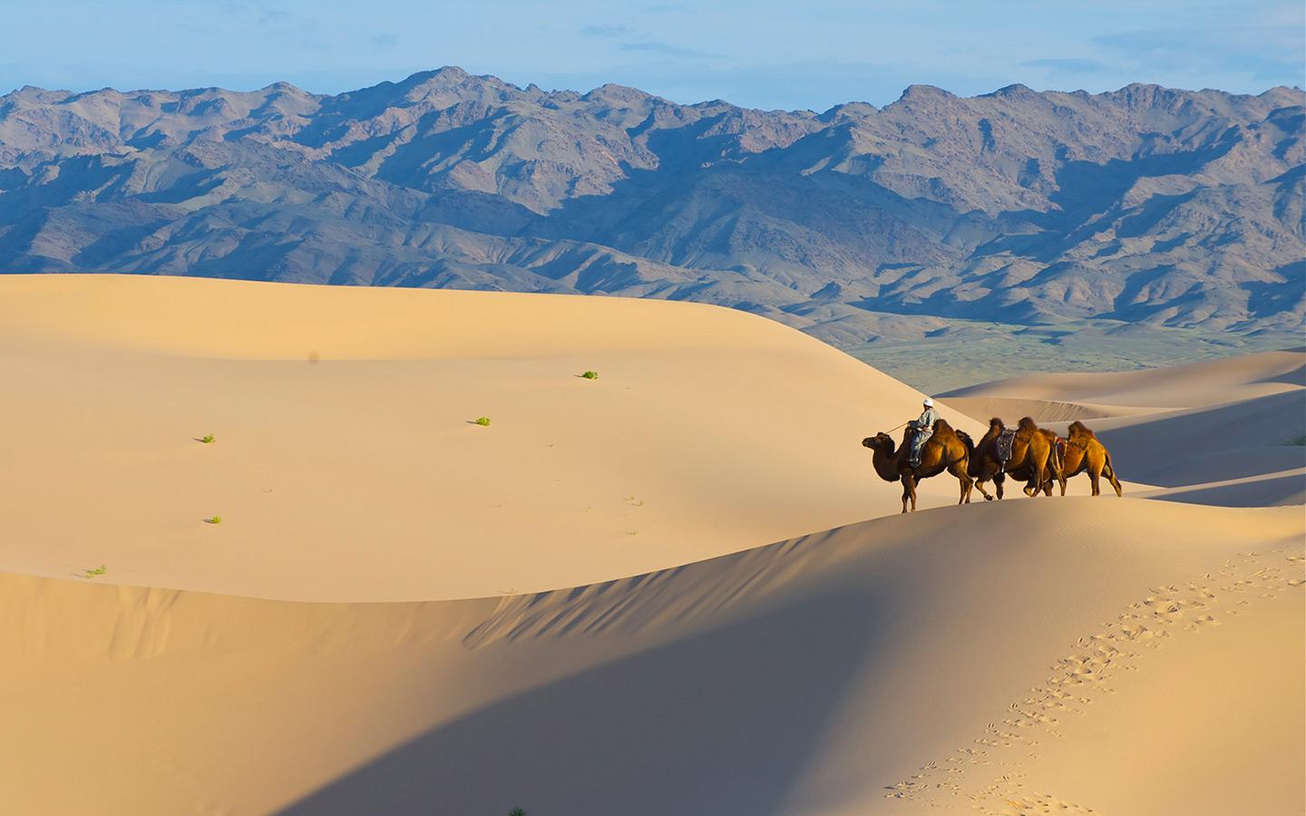 4 Days Central Mongolia-Amazing experiece 3