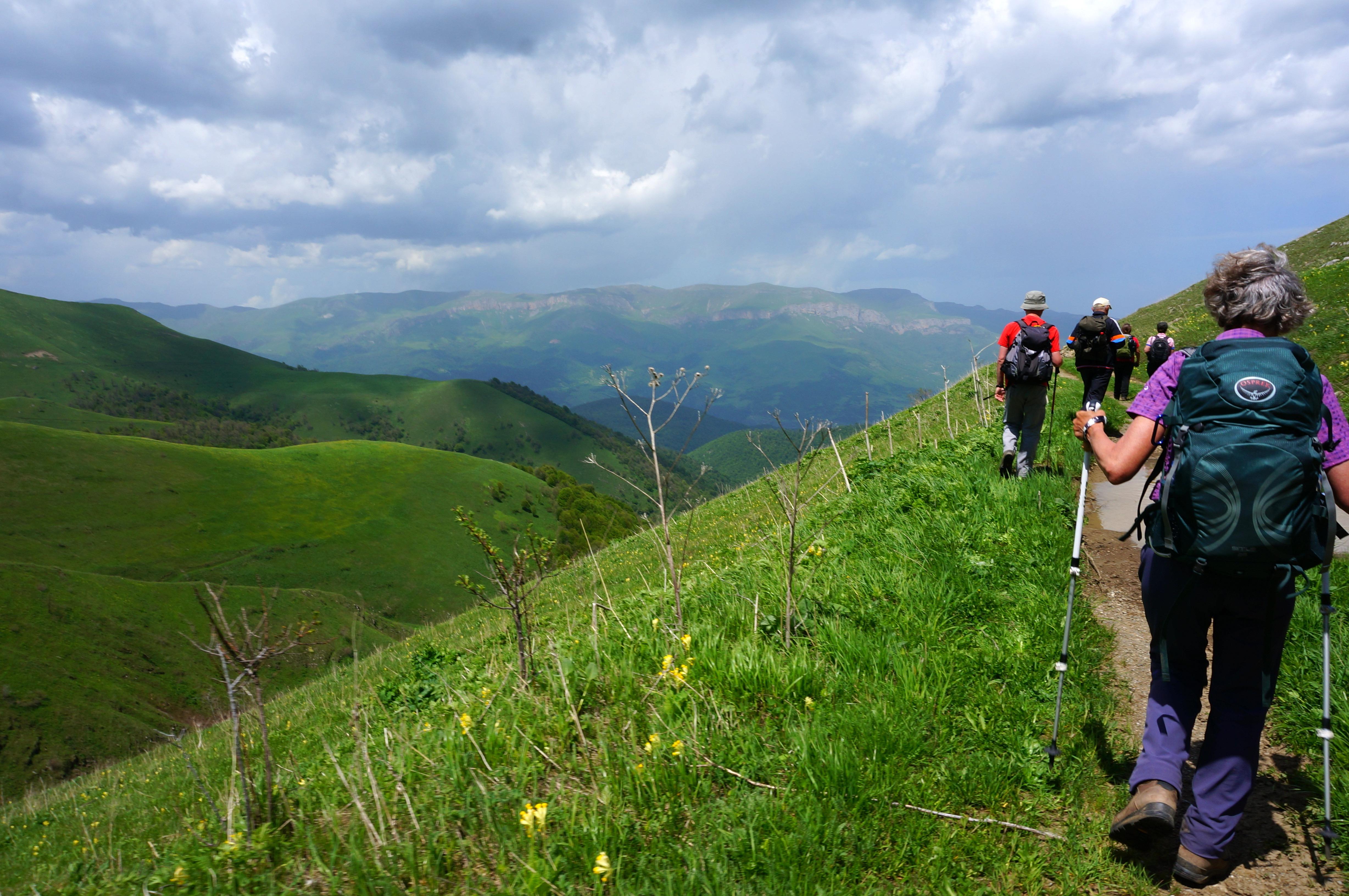 Yerevan: Dilijan National Park Guided Hike