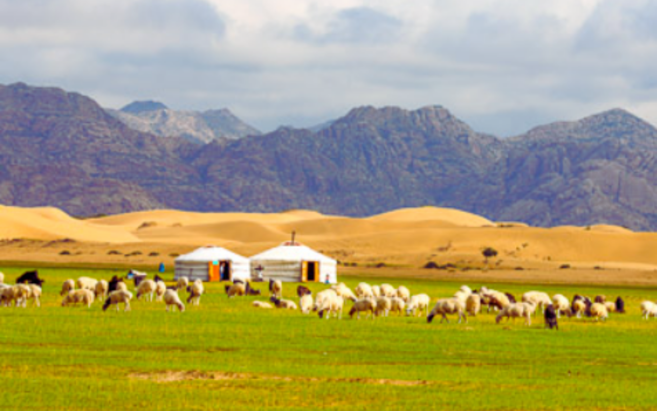 Mini Gobi Dessert: Private Elsen Tasarkhai Day tour 3