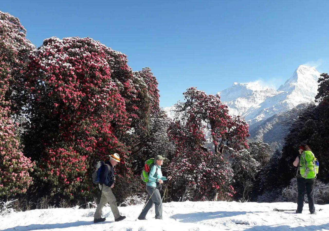 Nepal: 11-Day Annapurna Base Camp Trekking for Women 2