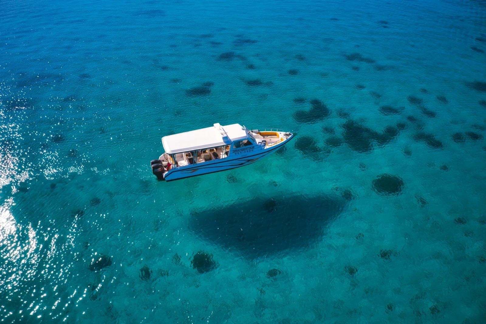 Daymaniyat Island Snorkeling with Turtles & Dolphin Watching 3