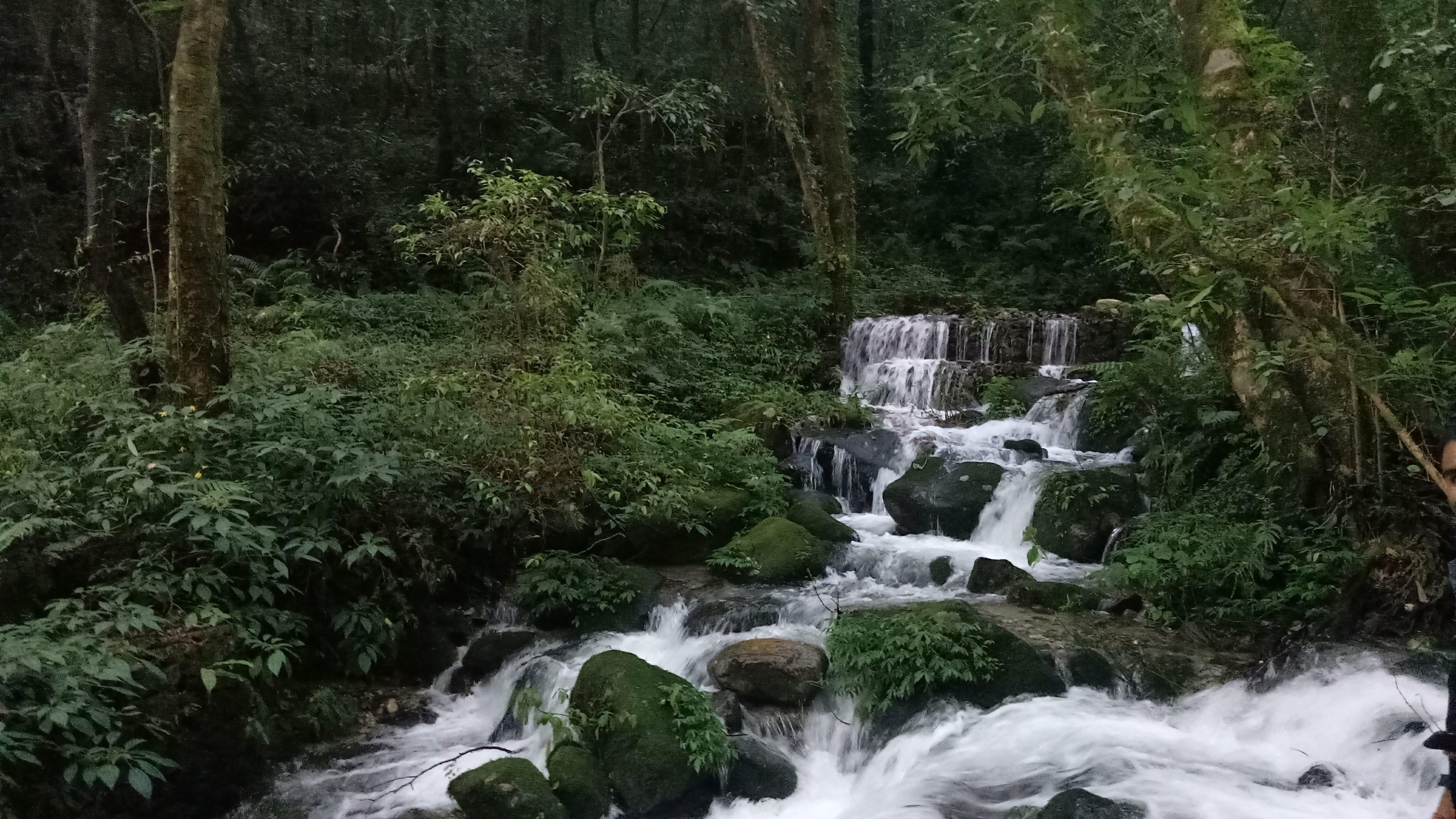 Kathmandu: Shivapuri National Park Day Hike