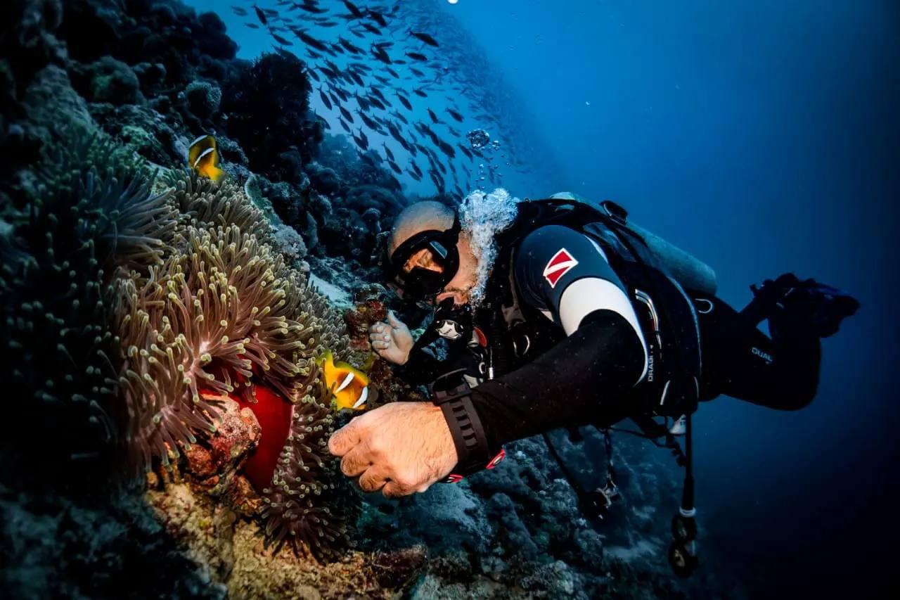 Jeddah: Discovery Dive with Underwater Photography