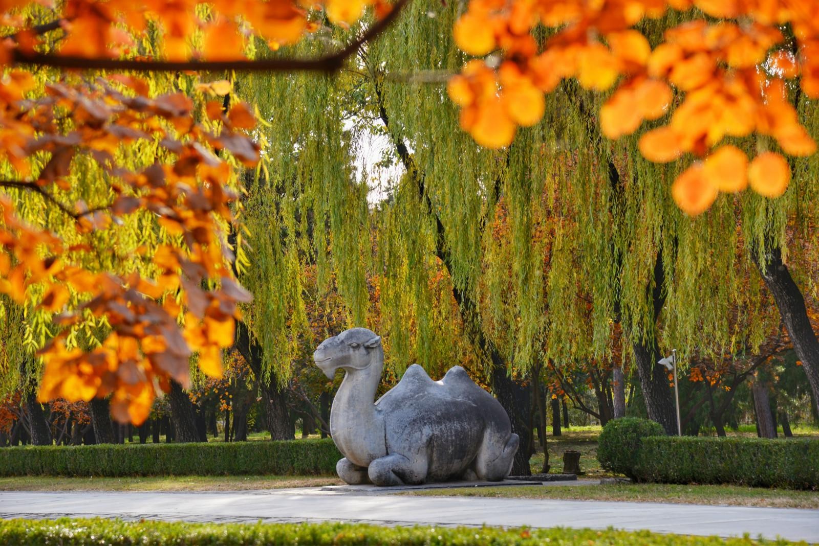 From Beijing: Huanghuacheng Great Wall & Ming Tombs Tour