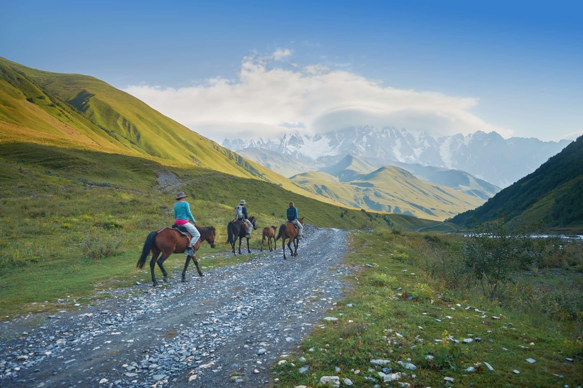 From Mestia: Ushguli & Shkhara Glacier Horseback Tour — guided tour in Mestia
