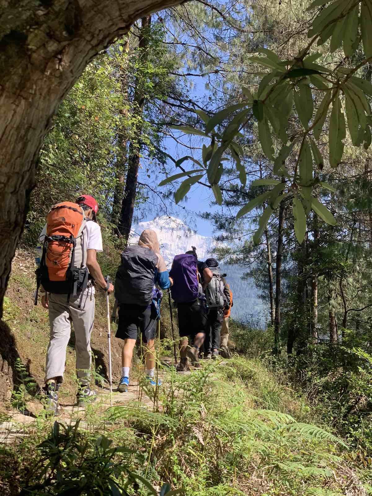 Kathmandu: Butterflies watching Guided Hike at Shivapuri N P 3