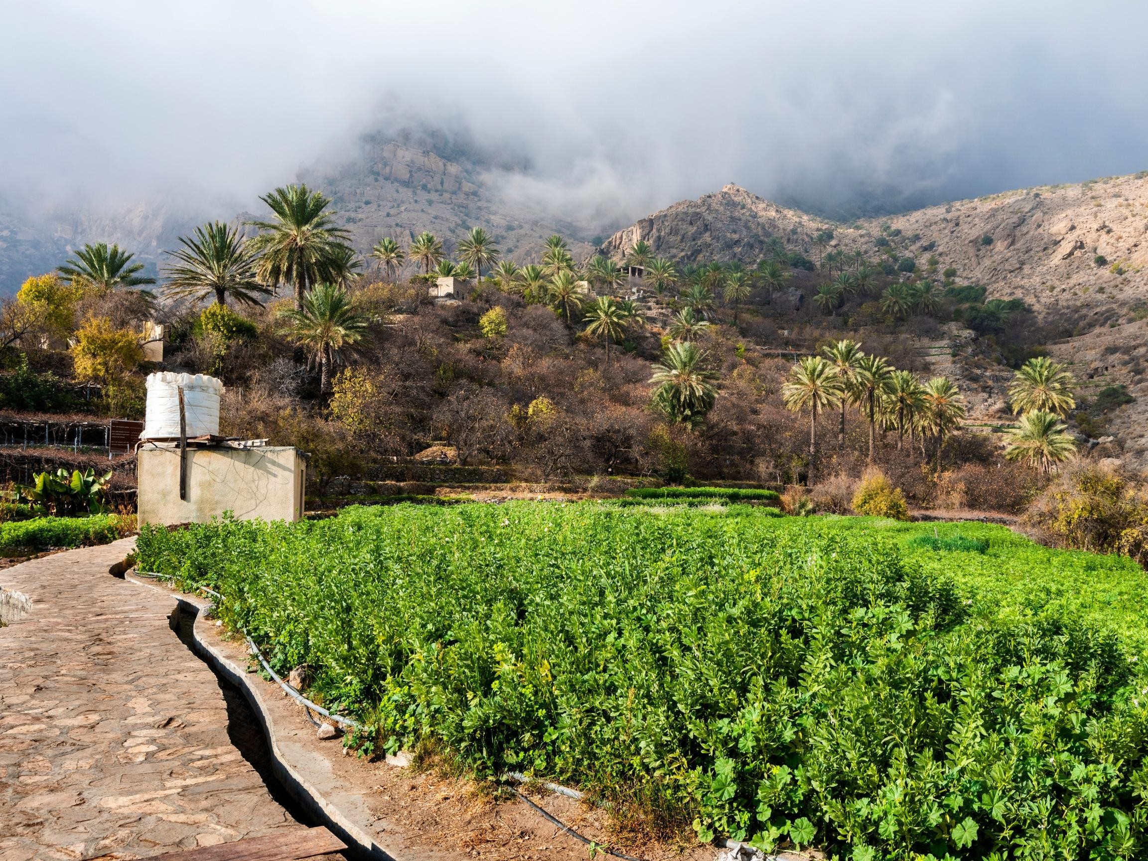 From Nakhal: History & Nature Trail - Nakhal & Wakan Village 3
