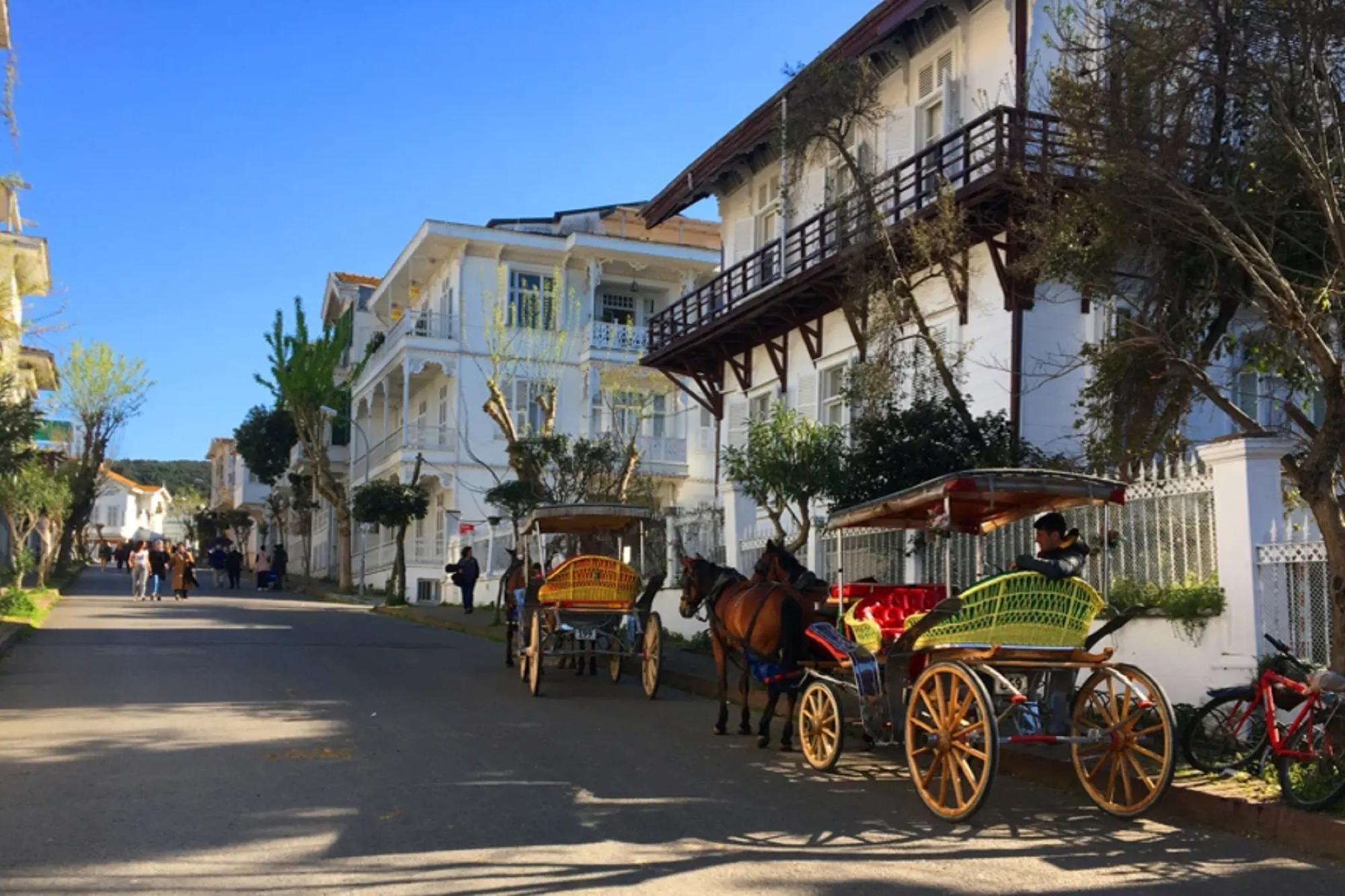 Istanbul: Princes' Islands Cruise with Lunch & Free Time