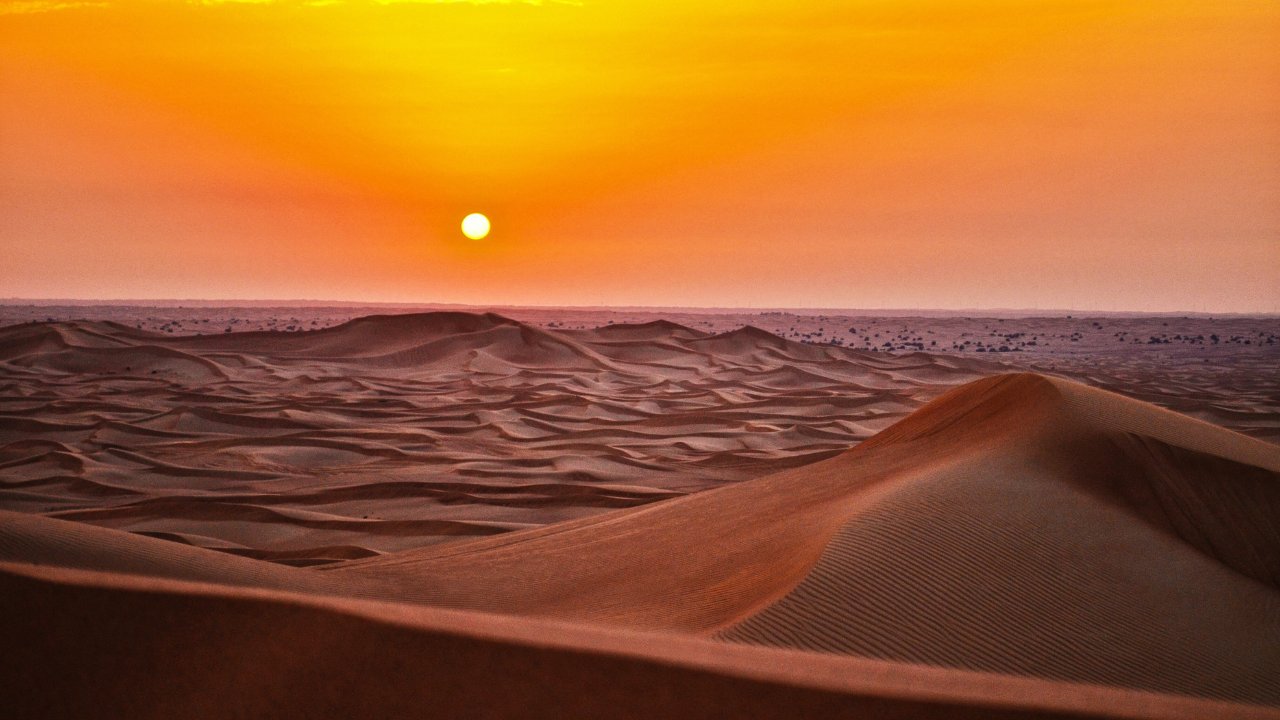 Qatar : Desert Safari, Falcon, Camel, ATV, Sandboarding 2