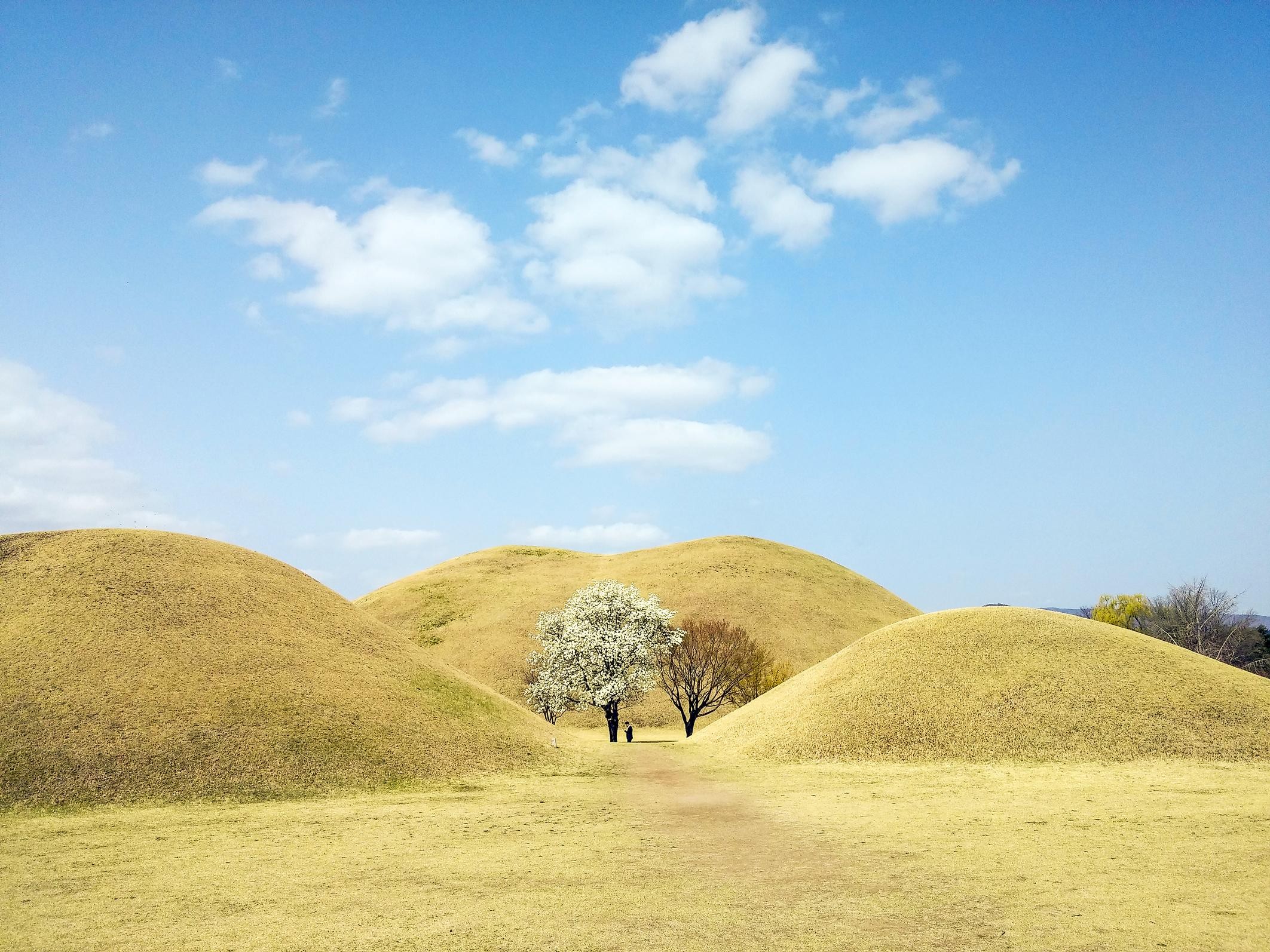 From Busan: Busan & Gyeongju One Day Tour