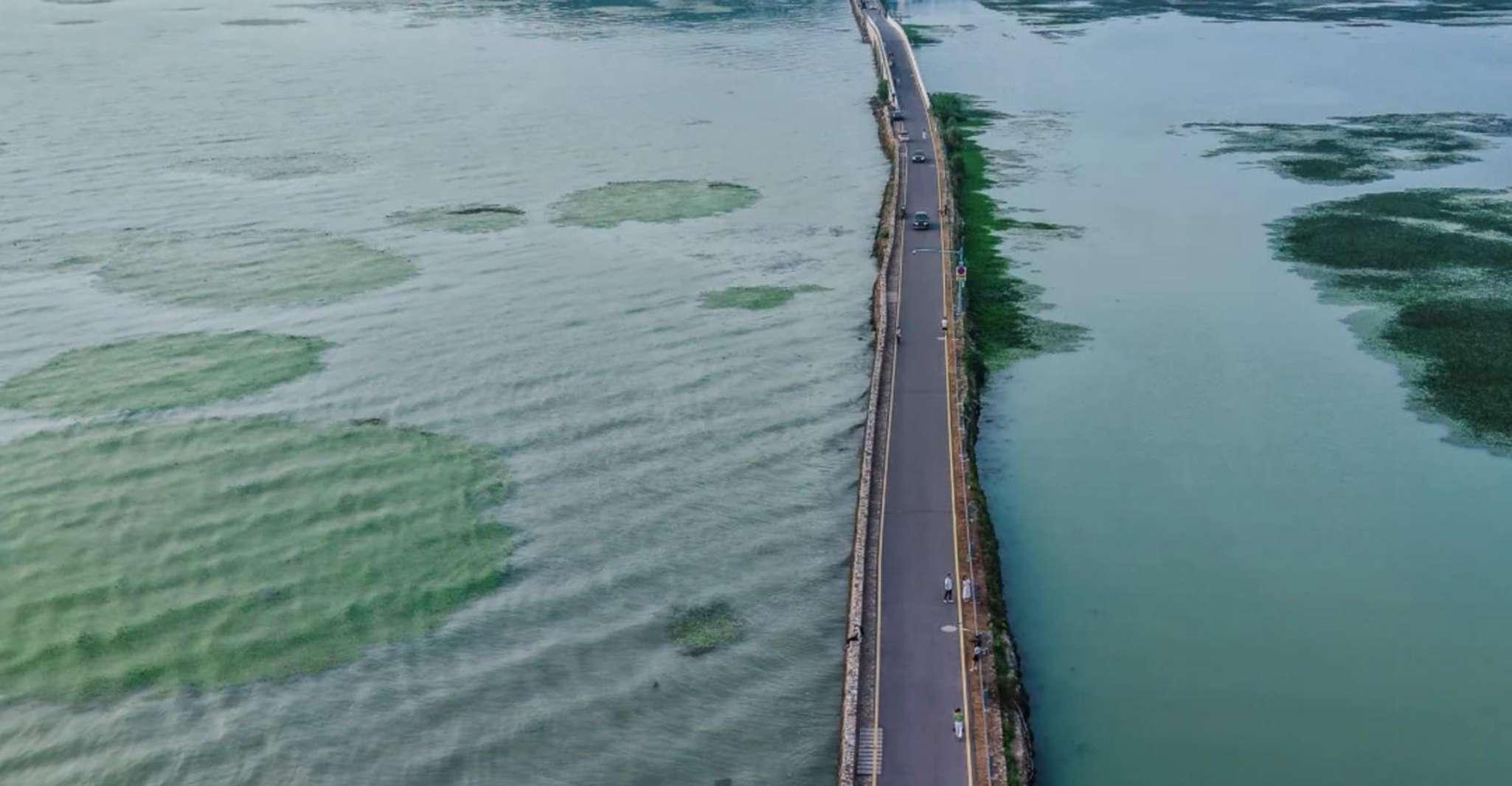 Suzhou: Taihu Lake Lakeside Cycling Private Day Trip