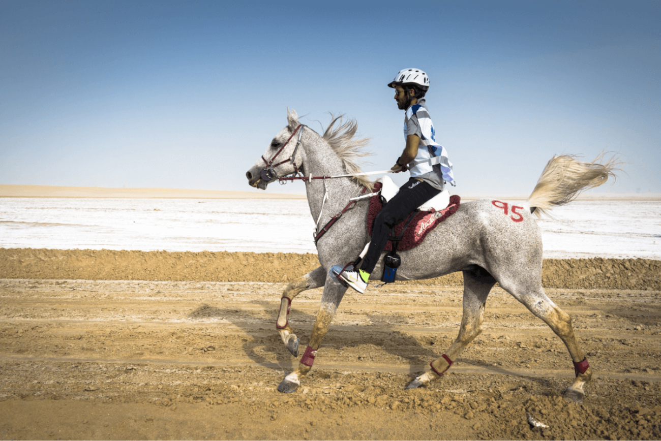 Doha: Souq Waqif Tour with Sealine Horse Riding Experience 3