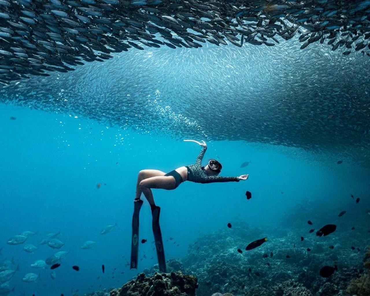 Panglao: Napaling Reef and Sardines Freediving Experience 2