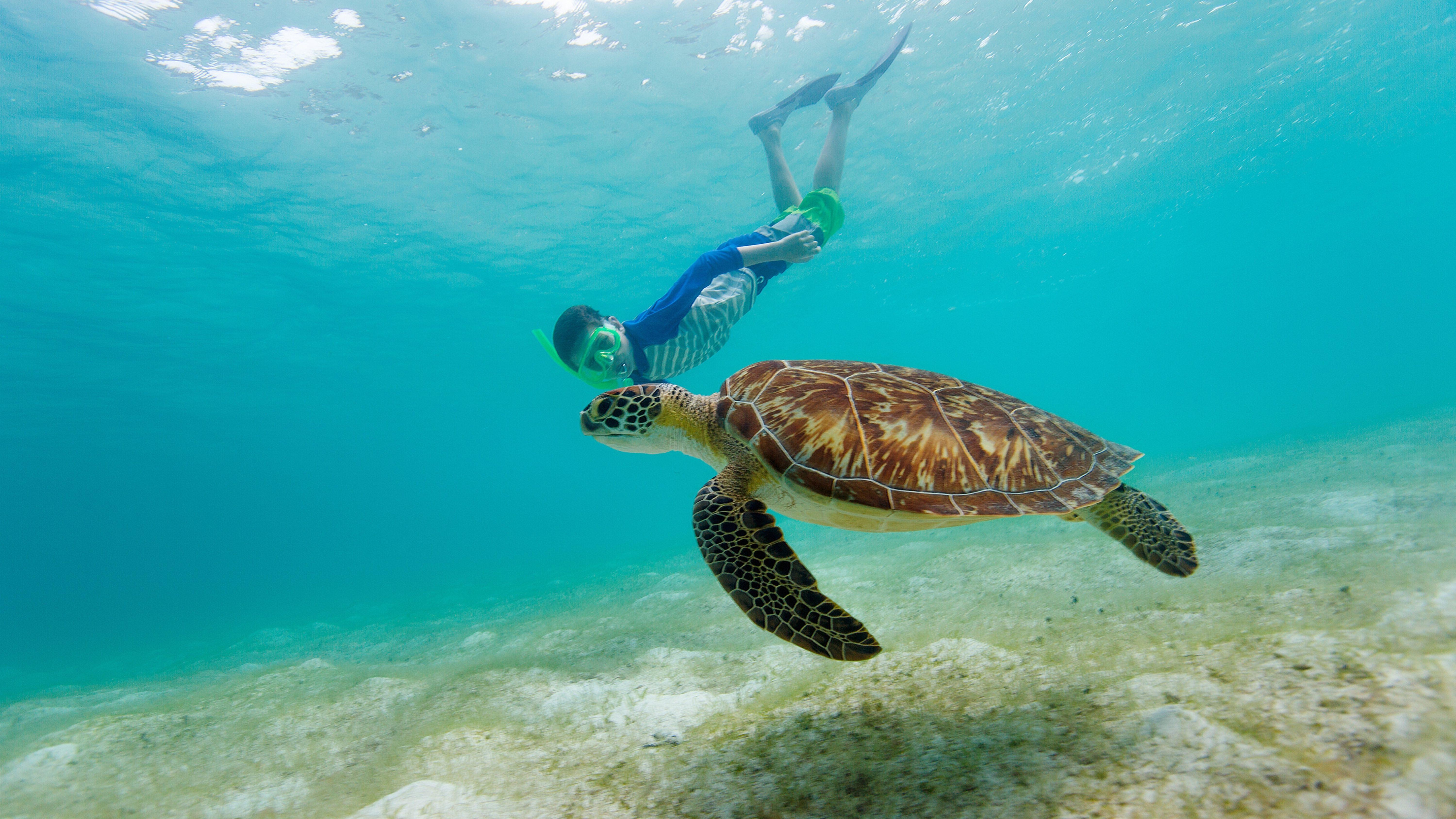 Daymaniyat Islands: Turtle Snorkeling & Boat Trip 3