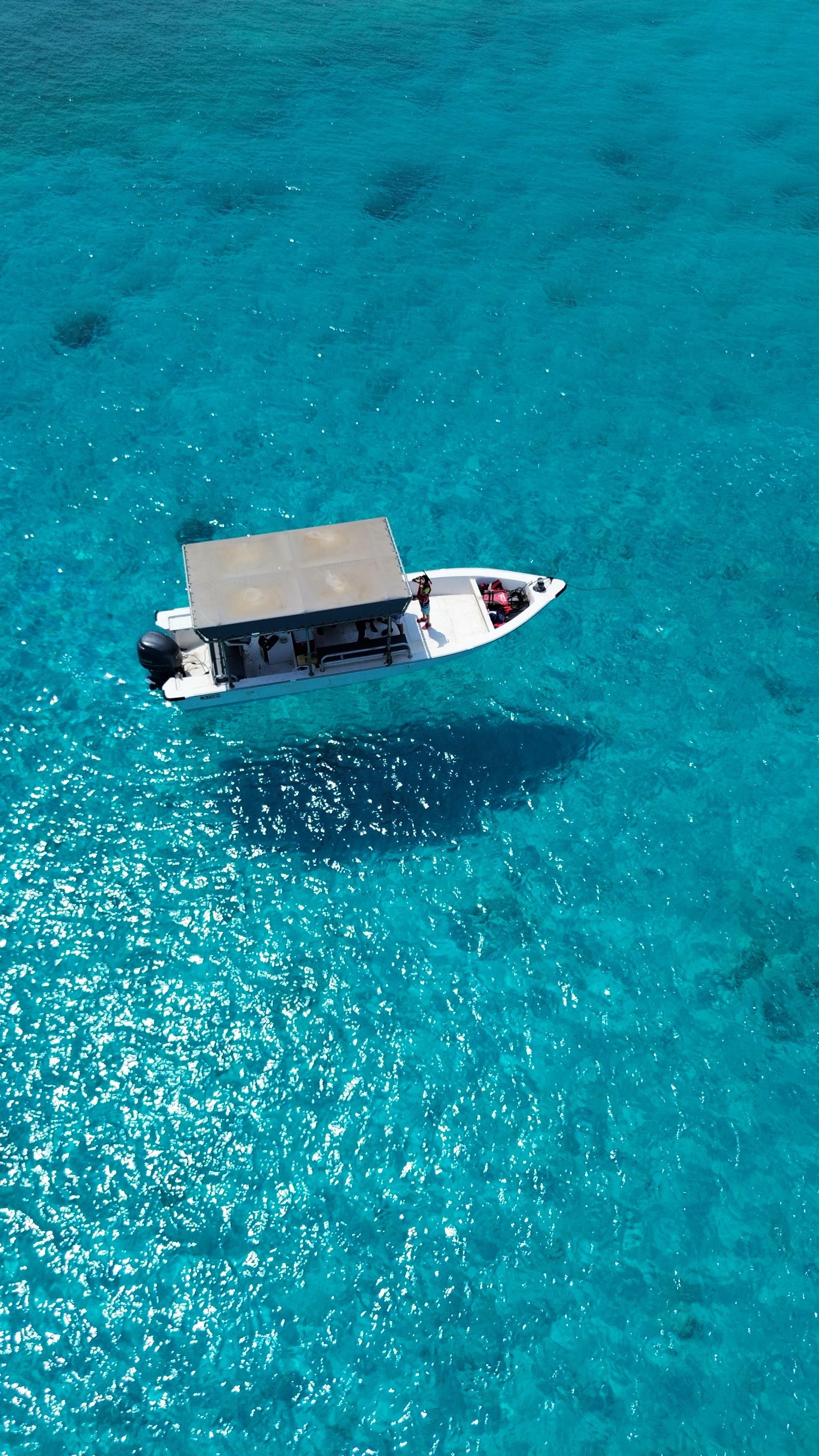 Seebeye: Sea tours to Dimaniyat island 2