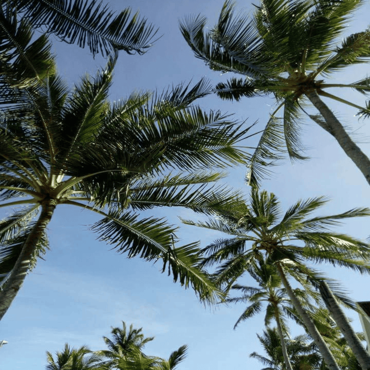 Bantayan Island: Land Tour with Swimming at Ogtong Cave 3