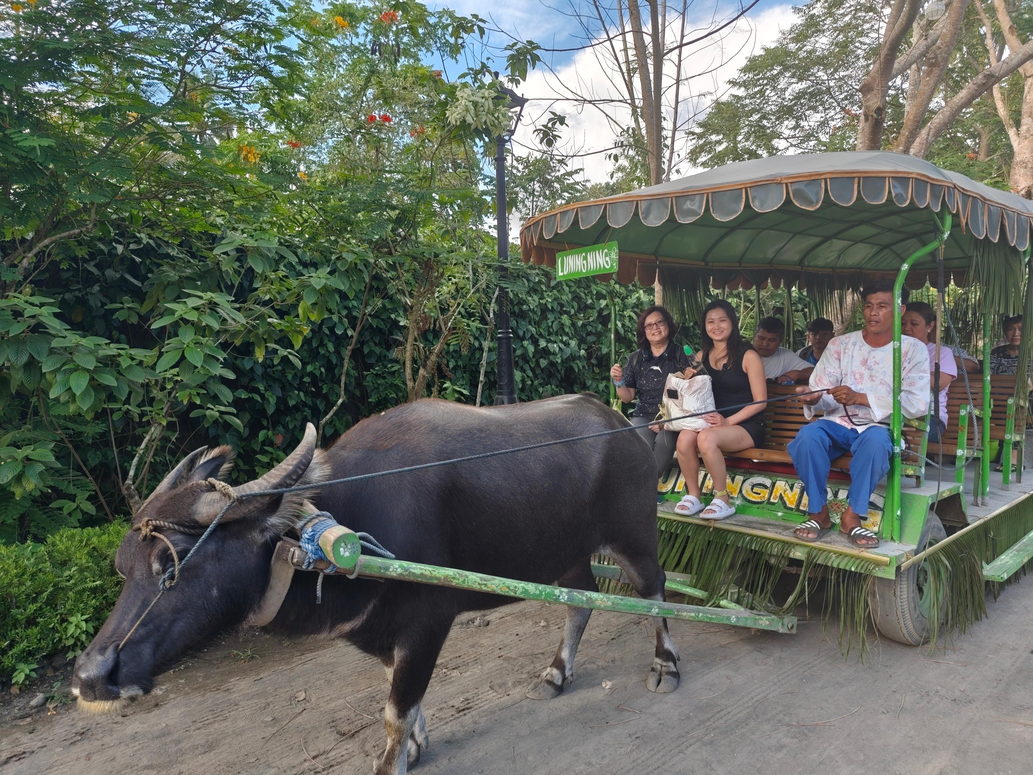 MANILA:Villa Escudero Waterfalls Restaurant- Private Car 2